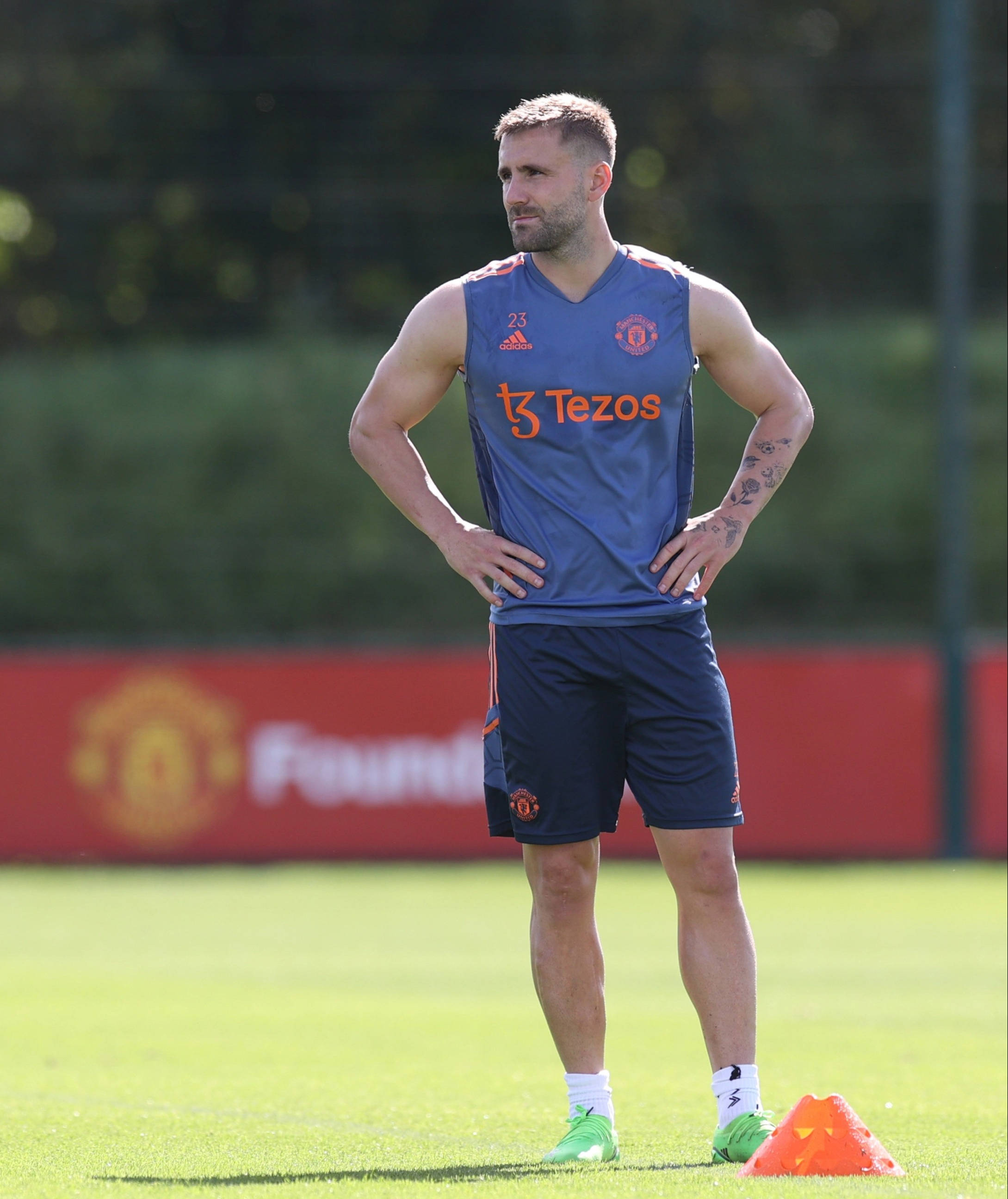 Luke Shaw, blue Manchester United training kit, sunlit grass pitch, 2K Phone Wallpaper