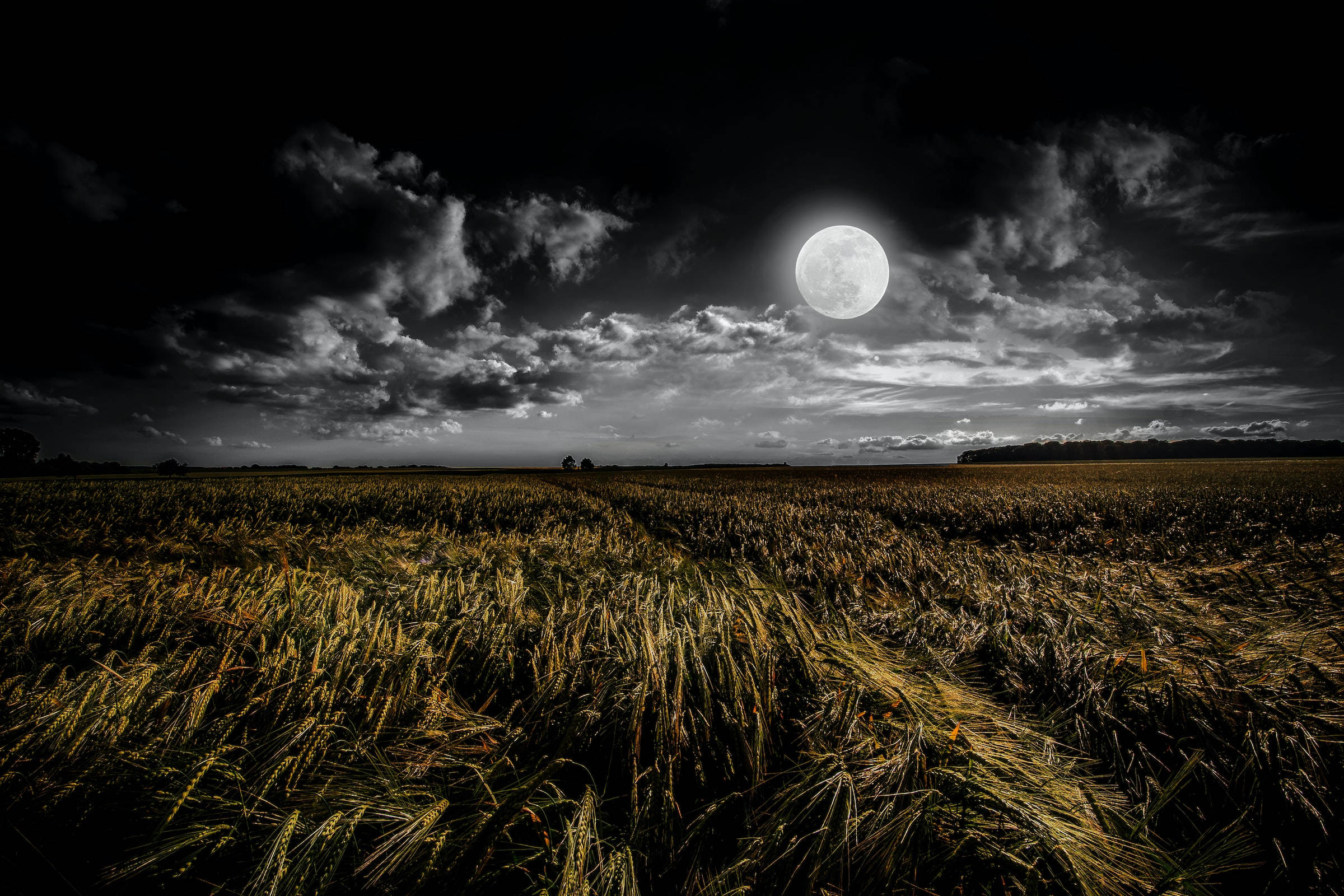 Luna, full moon, golden wheat field, Full HD Desktop Wallpaper