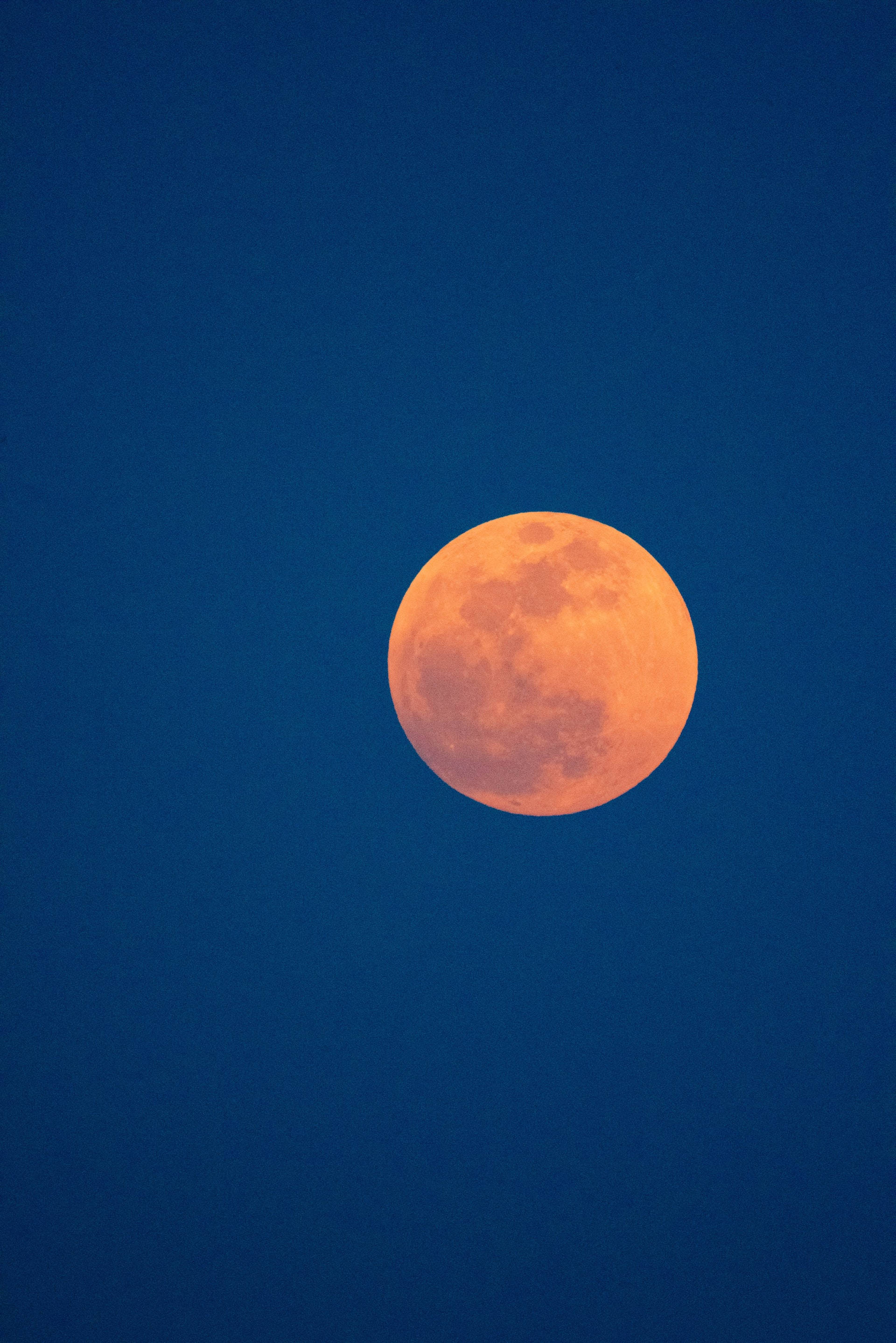 Luna, orange moon, blue sky, 2K Phone Wallpaper