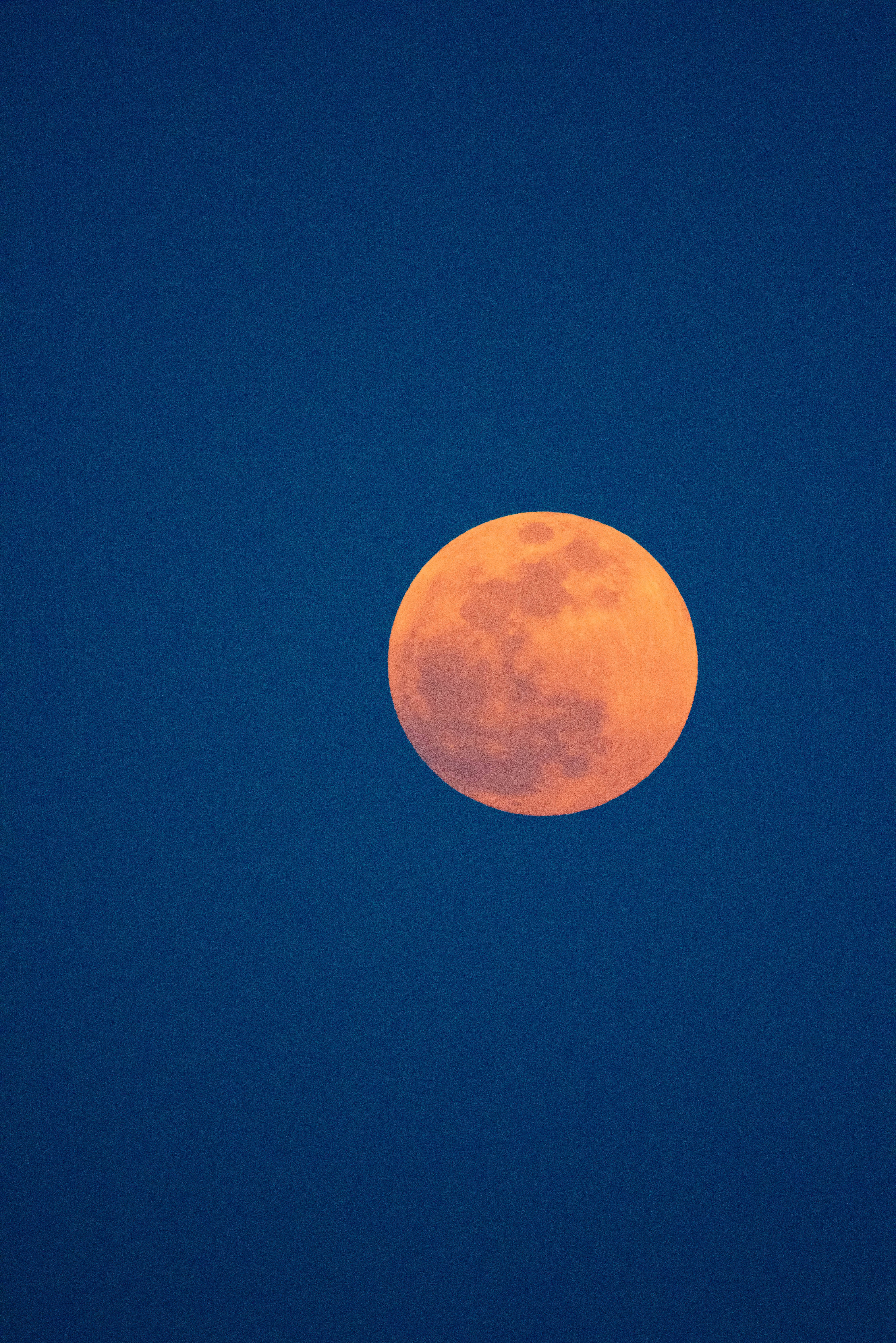 Lunar Eclipse Moon, vivid orange full moon, deep indigo twilight sky, 5K Phone Wallpaper