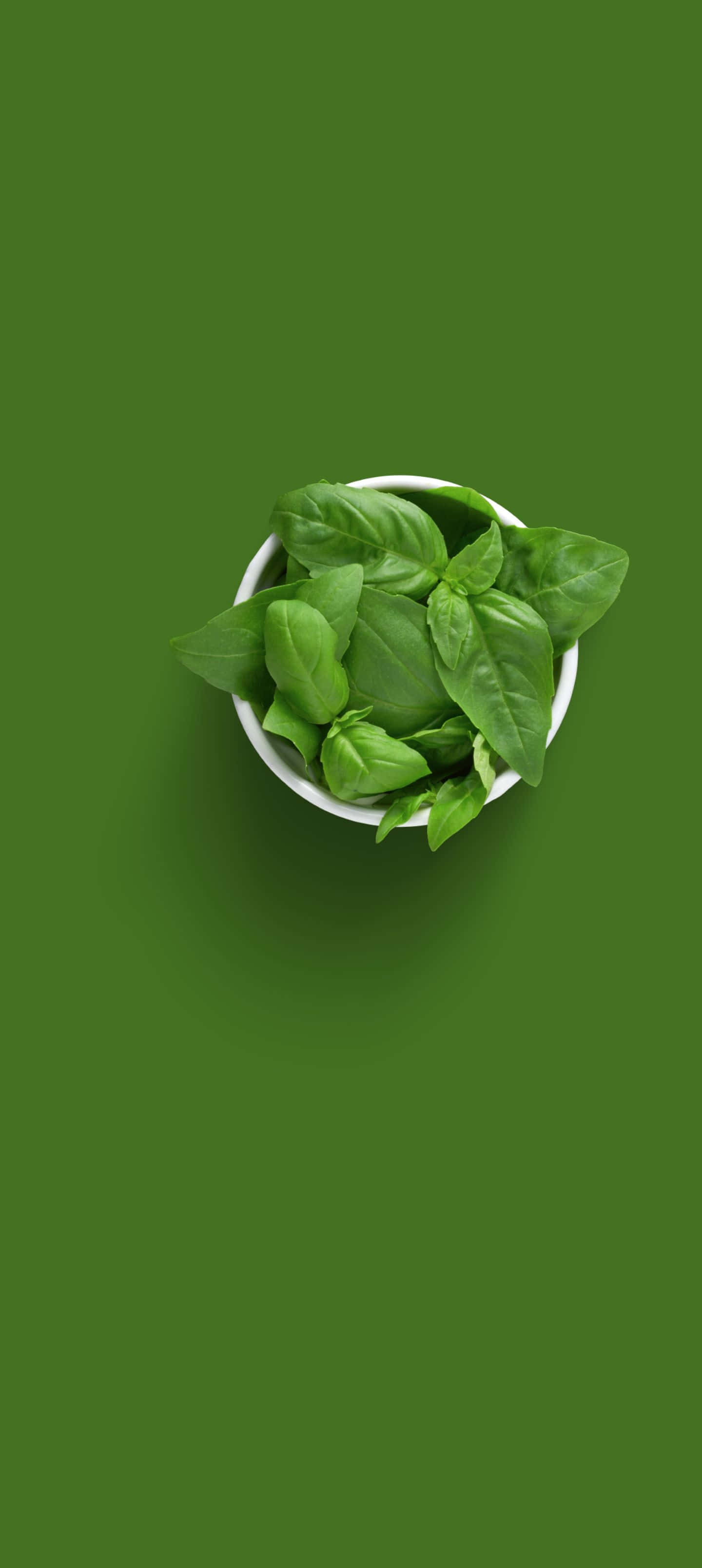 lunar eclipse, basil leaves, white bowl, 2K Phone Wallpaper