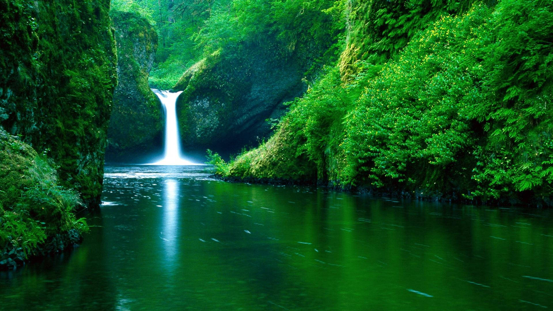lush waterfall, river landscape, emerald pool, Full HD Desktop Wallpaper