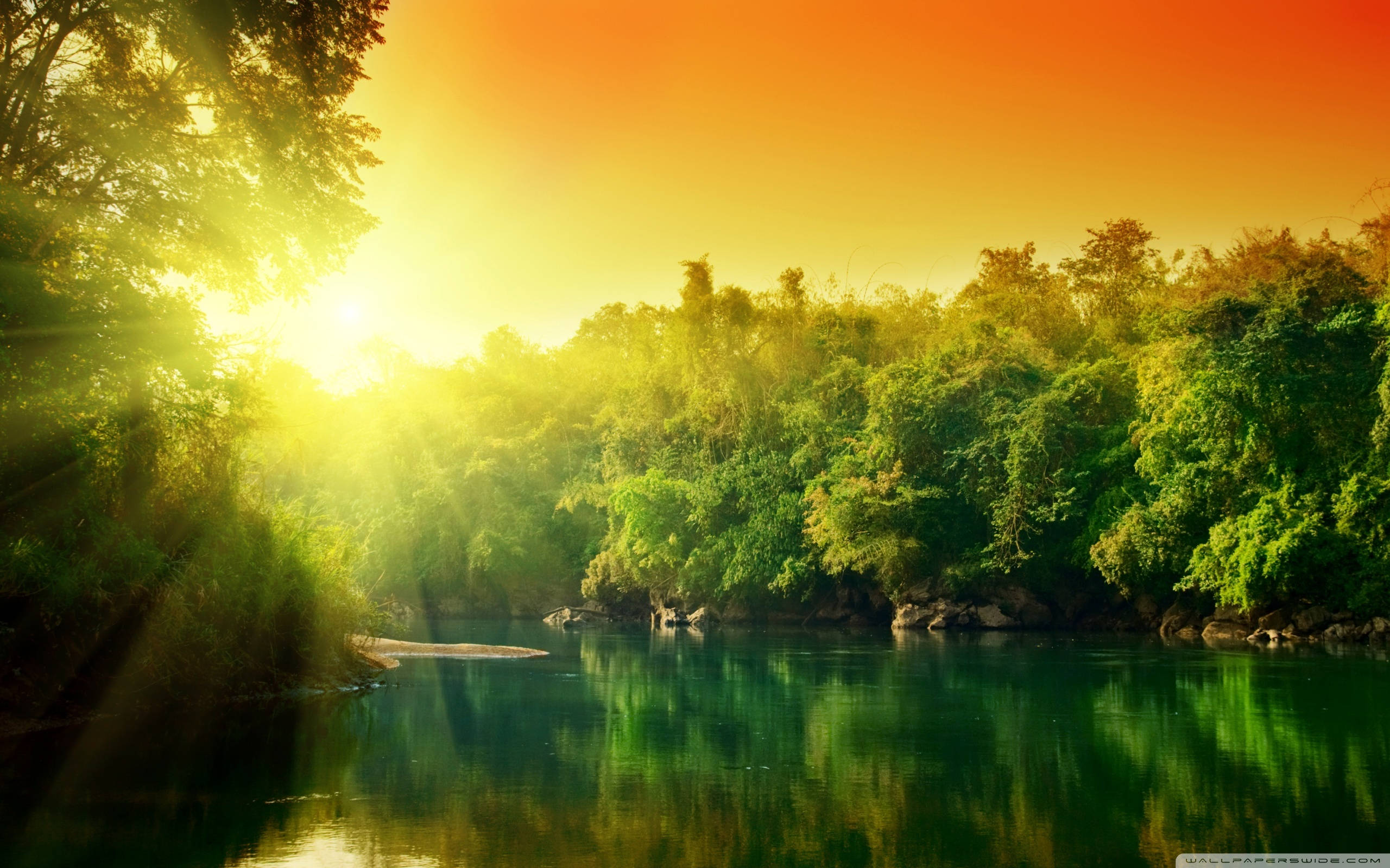 Lush Scenery Under Orange Sky, orange sky, golden sunlight, 2K Desktop Wallpaper