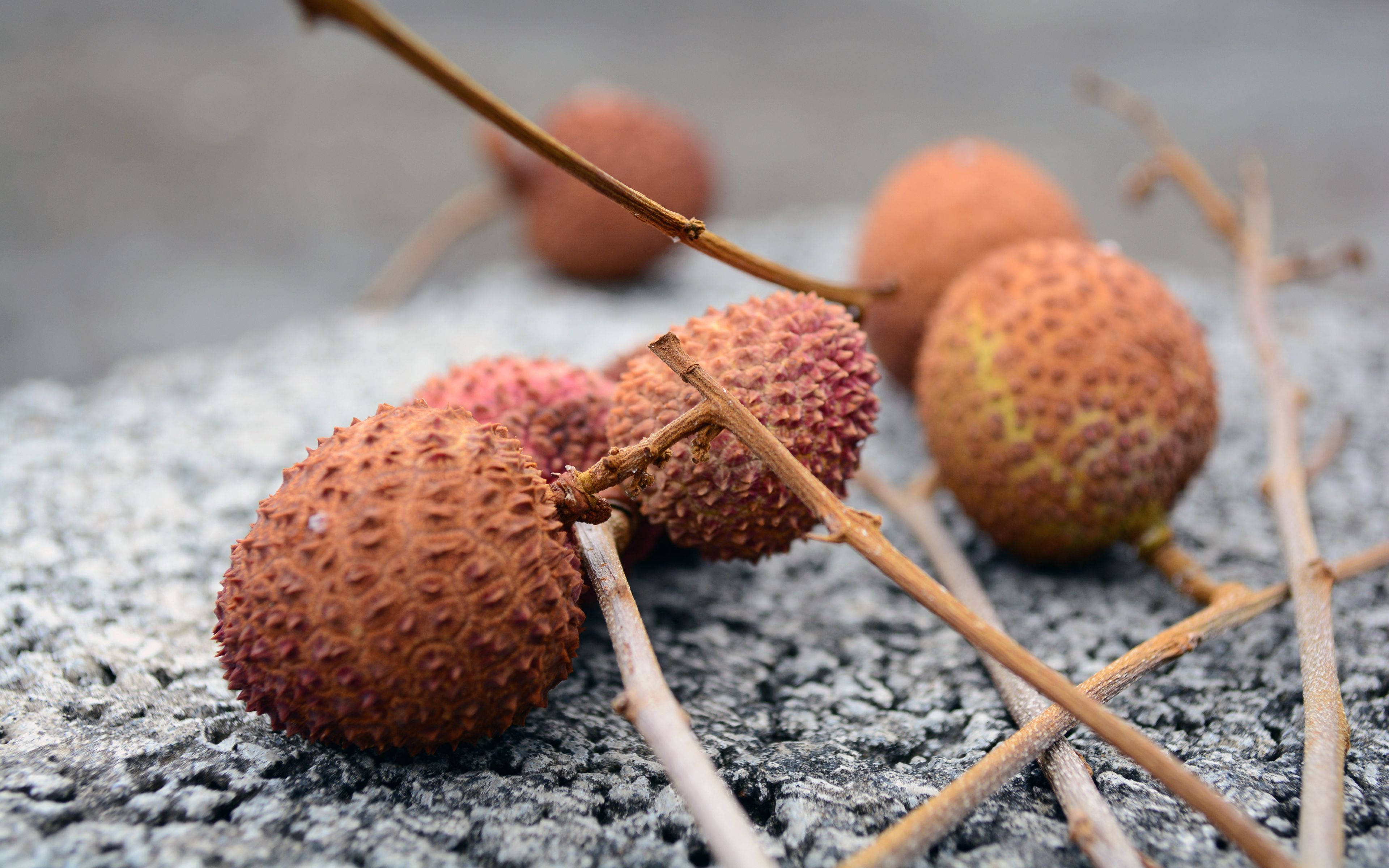 brown lychee fruits, twigs, bumpy red-brown skin, 4K Desktop Wallpaper