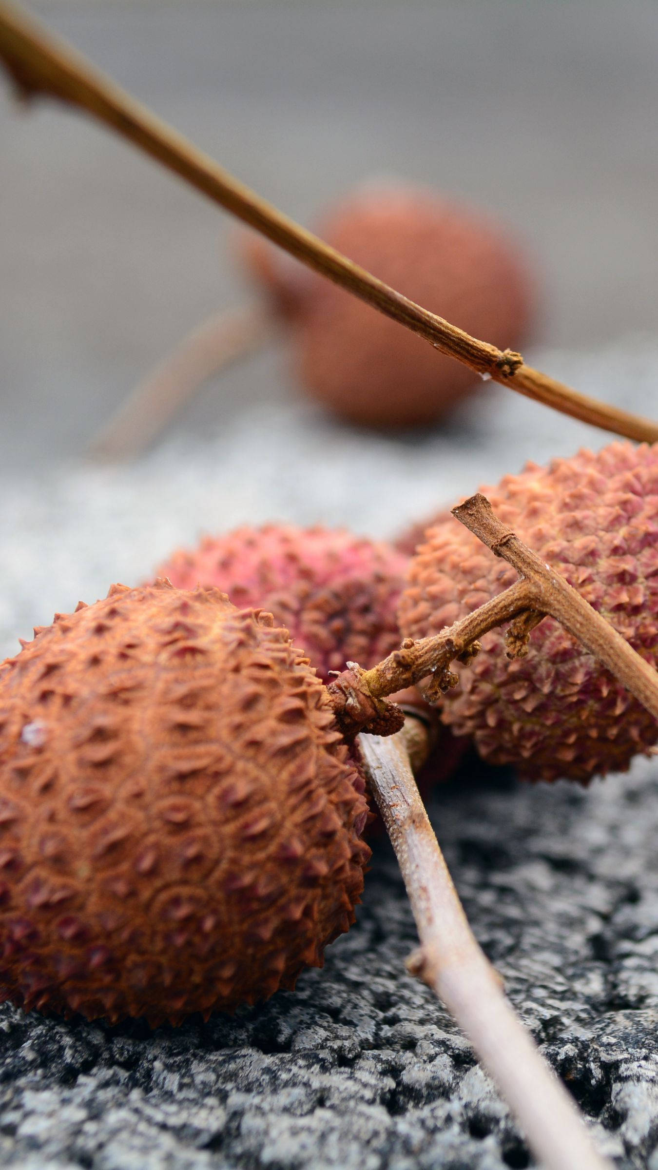 lychees, spiky brown lychees, branches, Full HD Phone Wallpaper