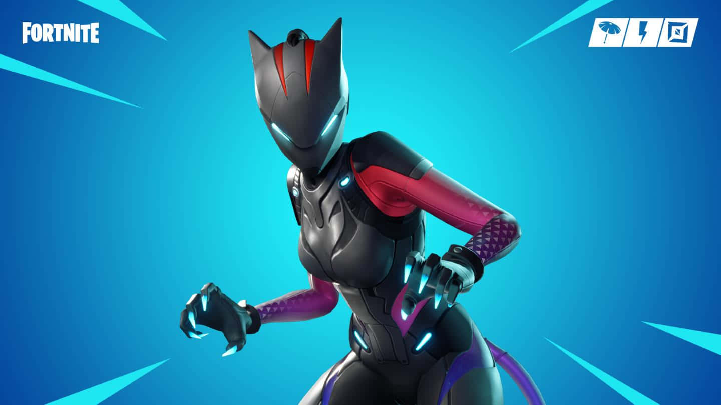 Lynx Fortnite, catwoman, black and pink armor, HD Desktop Wallpaper