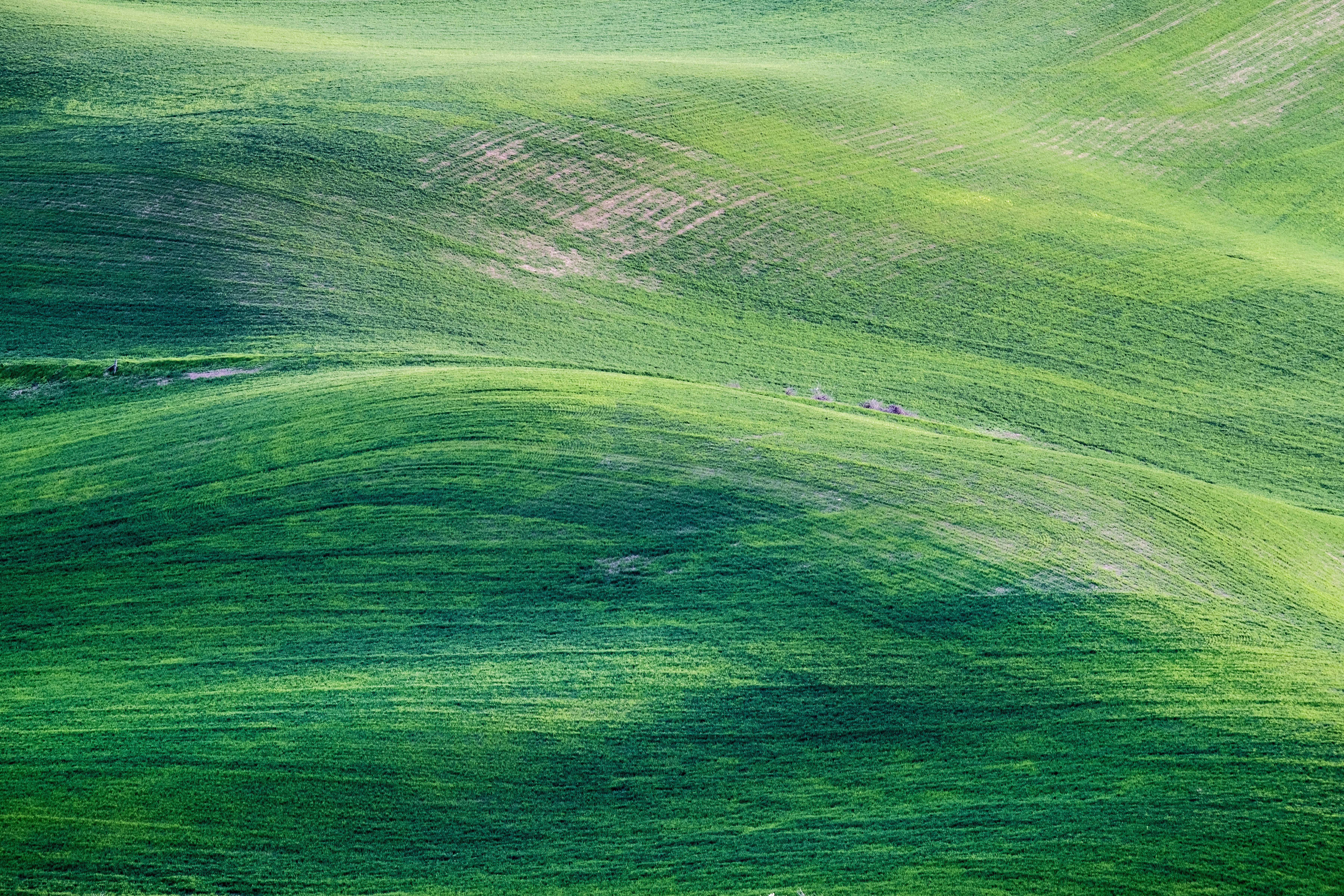 Lush Green Hills, Mac 4K, emerald hills, 5K Desktop Wallpaper