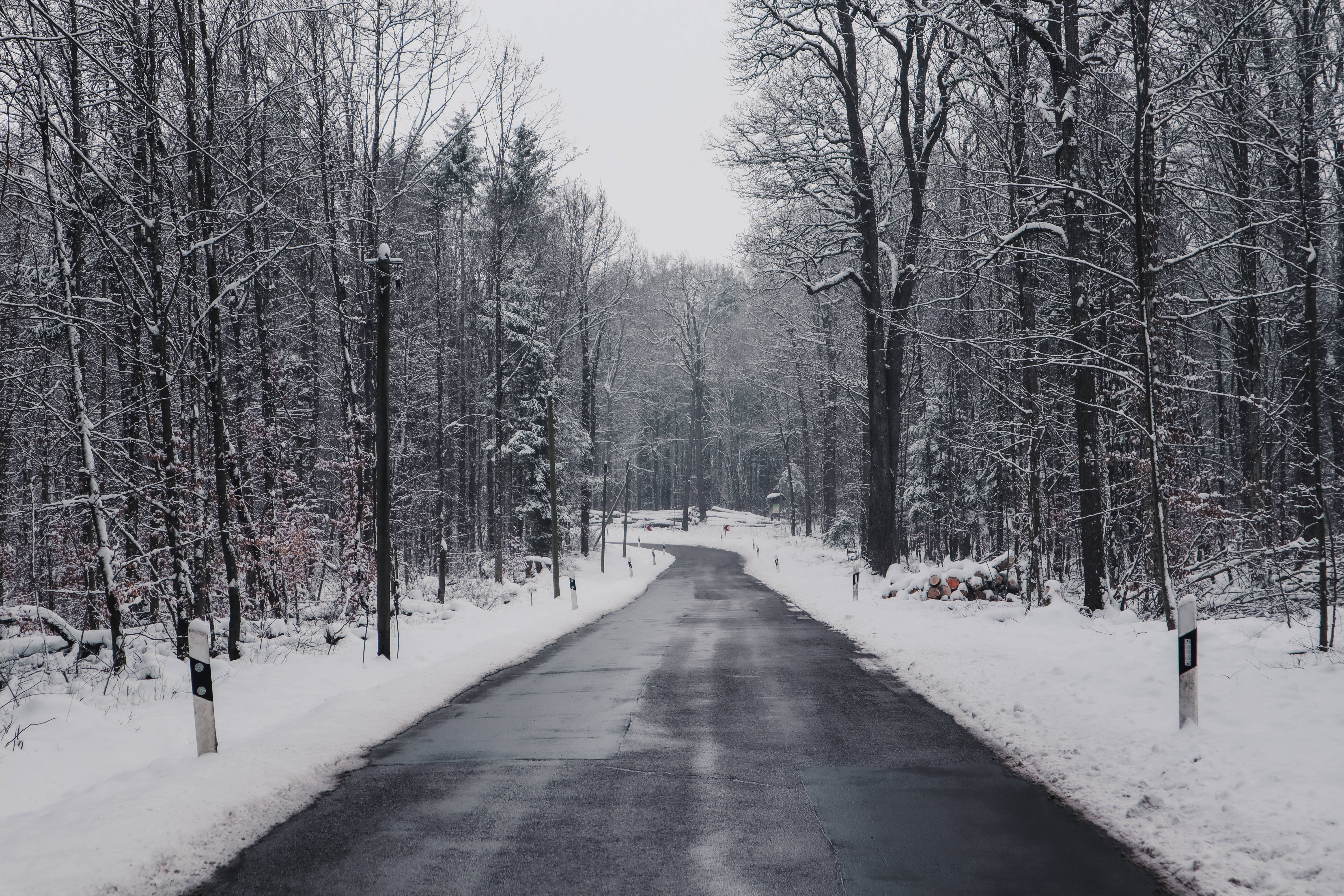 Snowy Forest, Mac OS, snow-covered road, 5K Desktop Wallpaper
