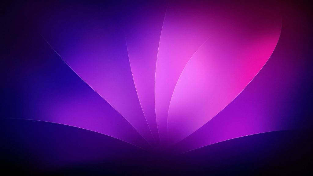 purple, pink, light rays, SD Desktop Wallpaper