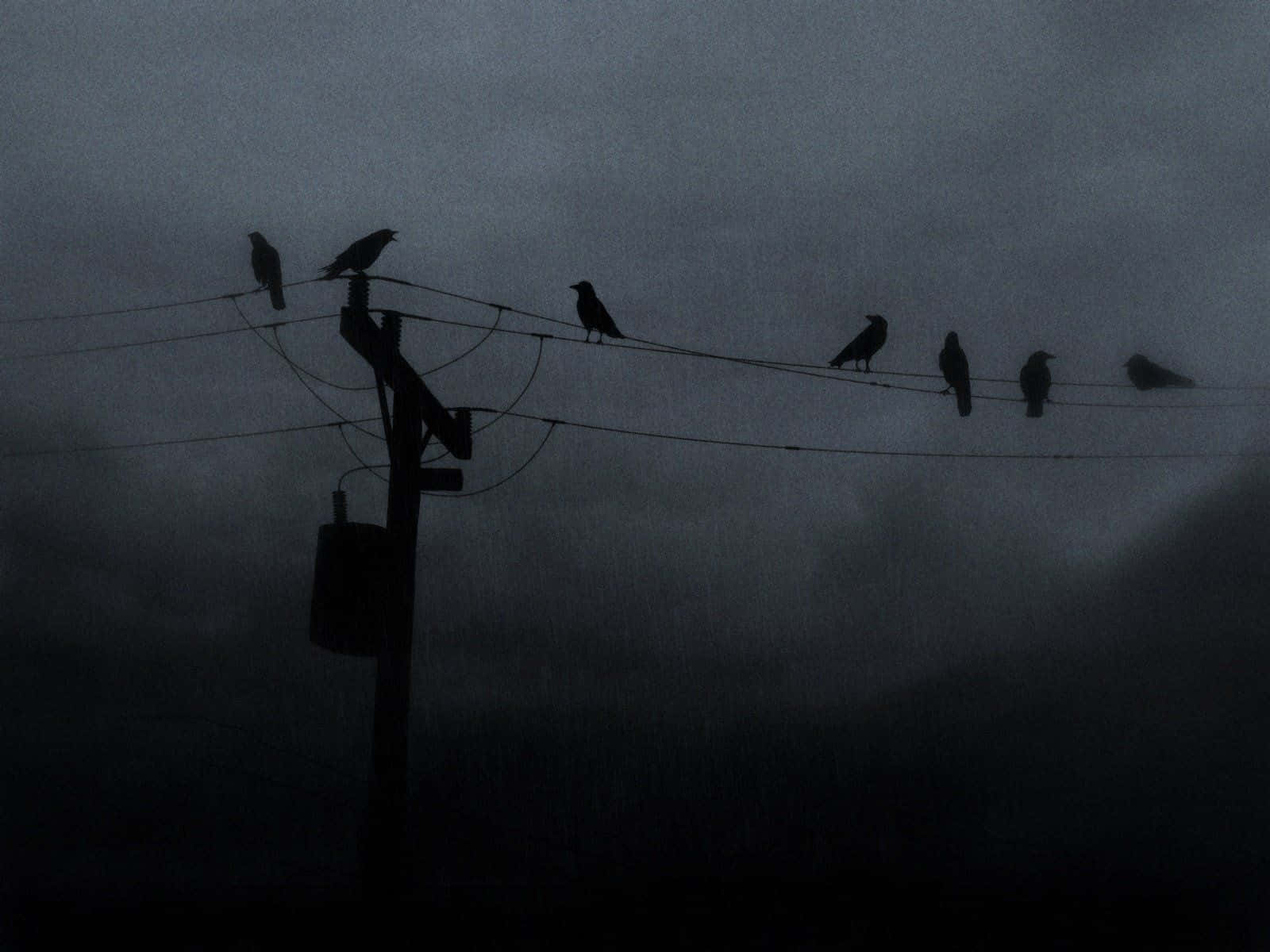 macabre, 1600 x 1200, crows, HD Desktop Wallpaper