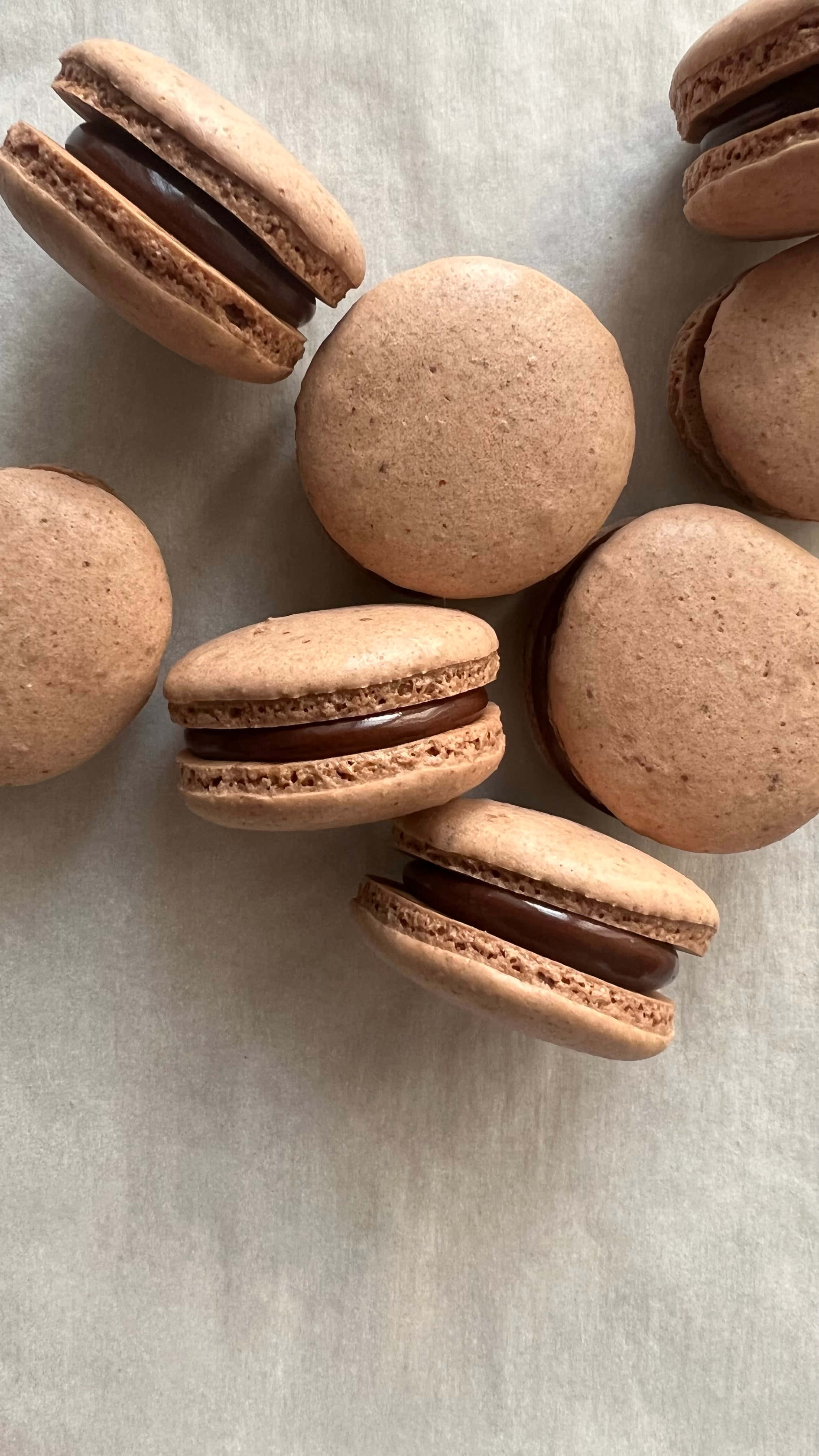 chocolate French macaron, chocolate filling, ganache filling, 4K Phone Wallpaper