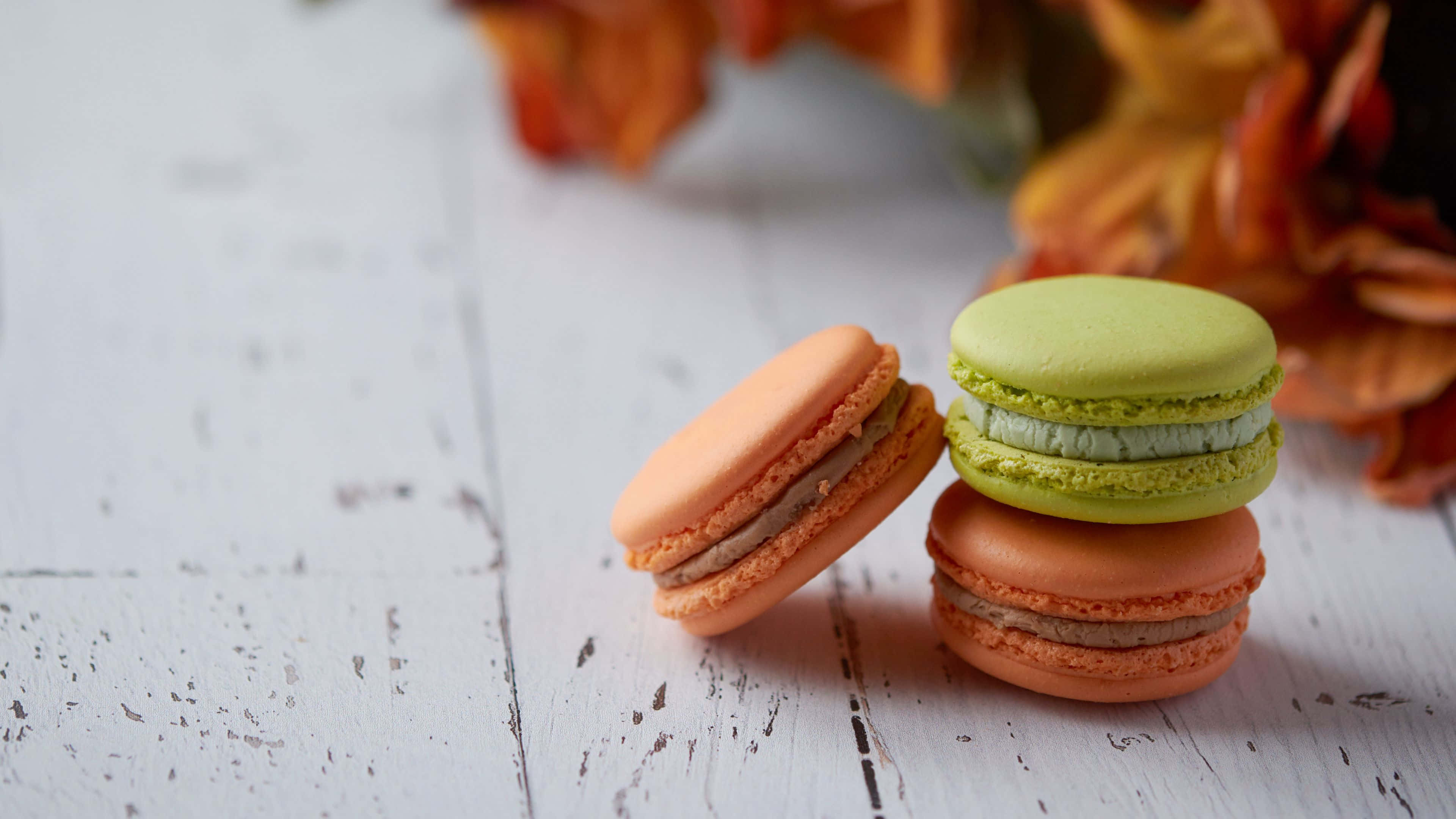 macaron, orange, green, 4K Desktop Wallpaper