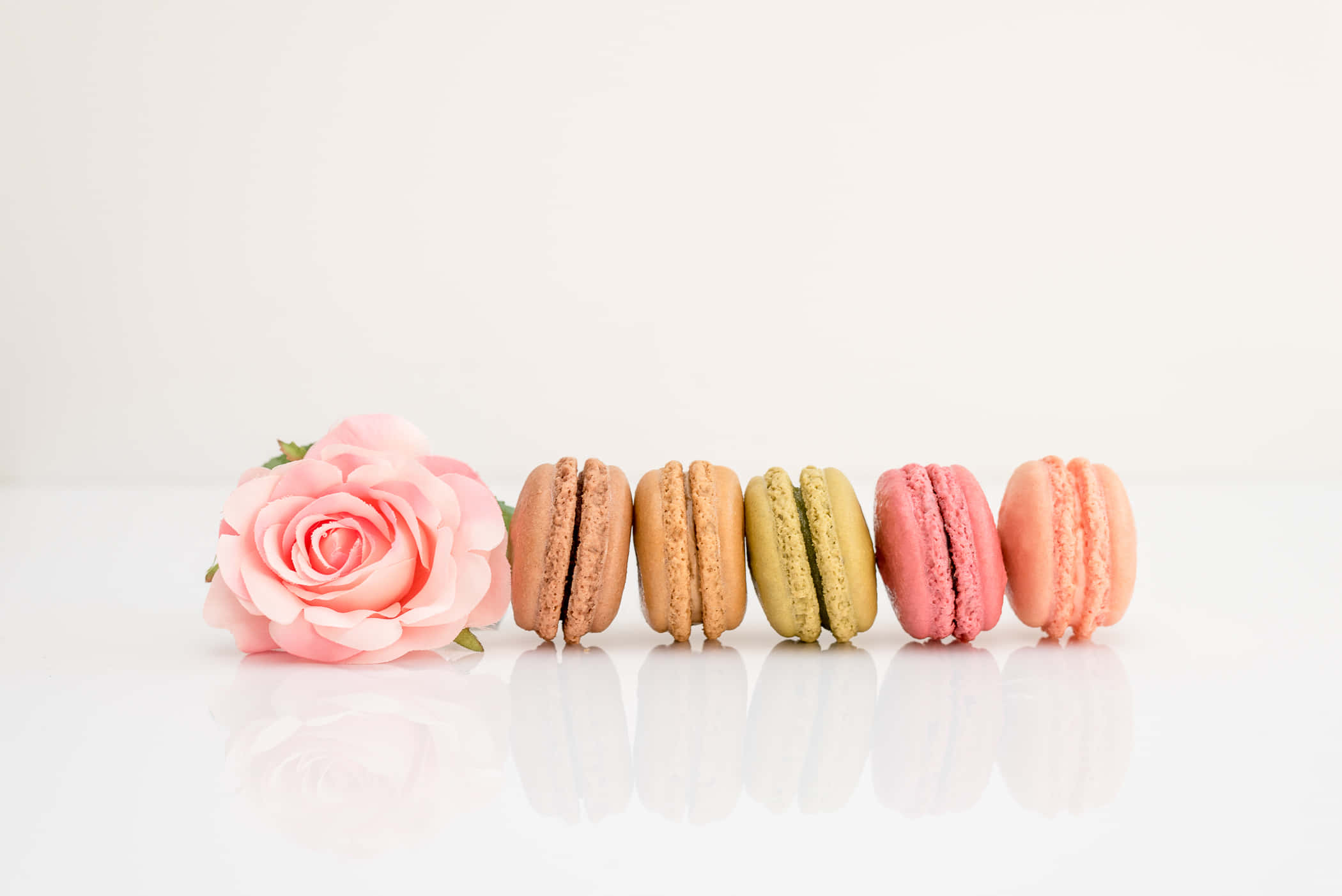 Macaron, rose, pink rose, Full HD Desktop Wallpaper