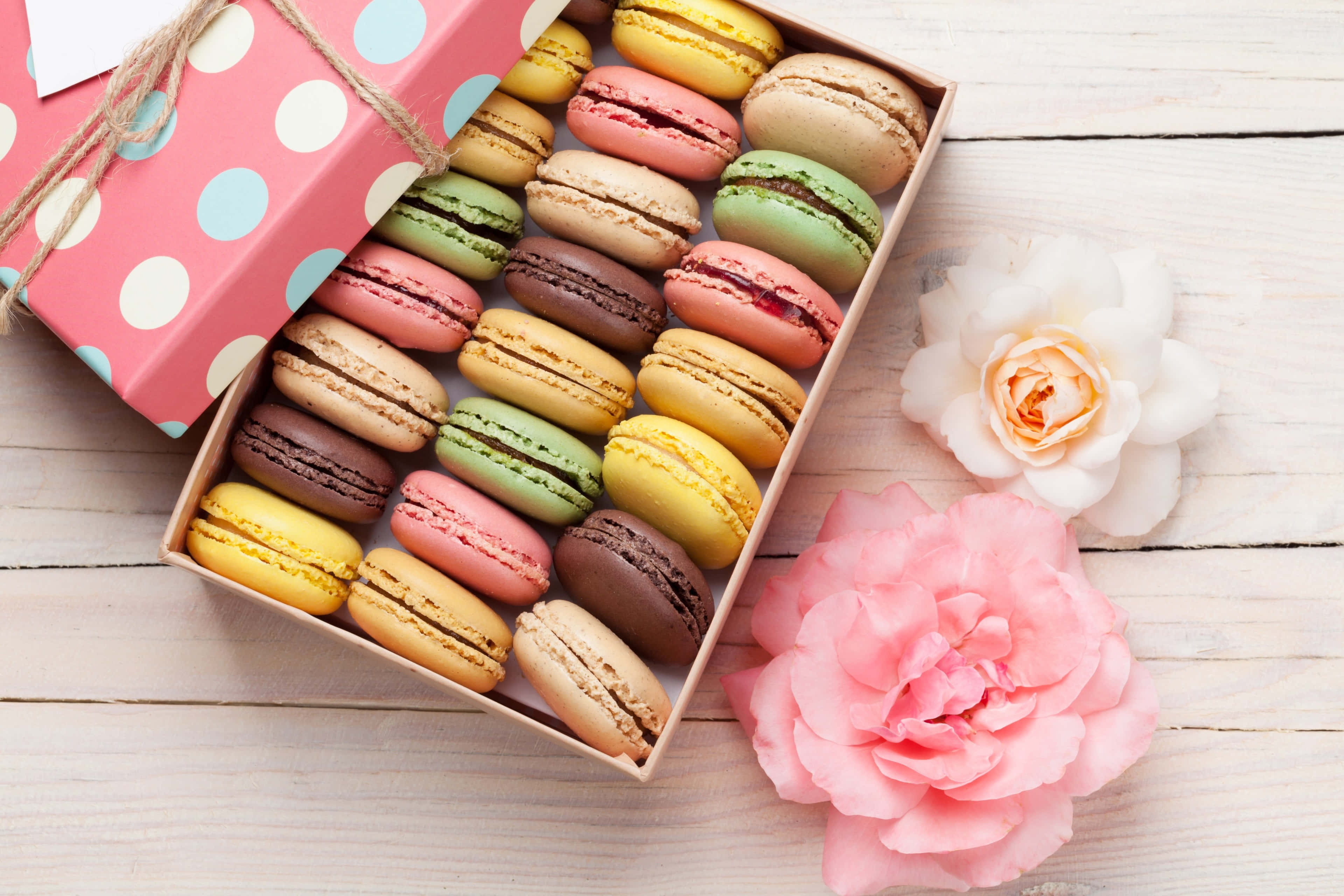 artistic multicolored macaron, gift box, pink and white flowers, 4K Desktop Wallpaper