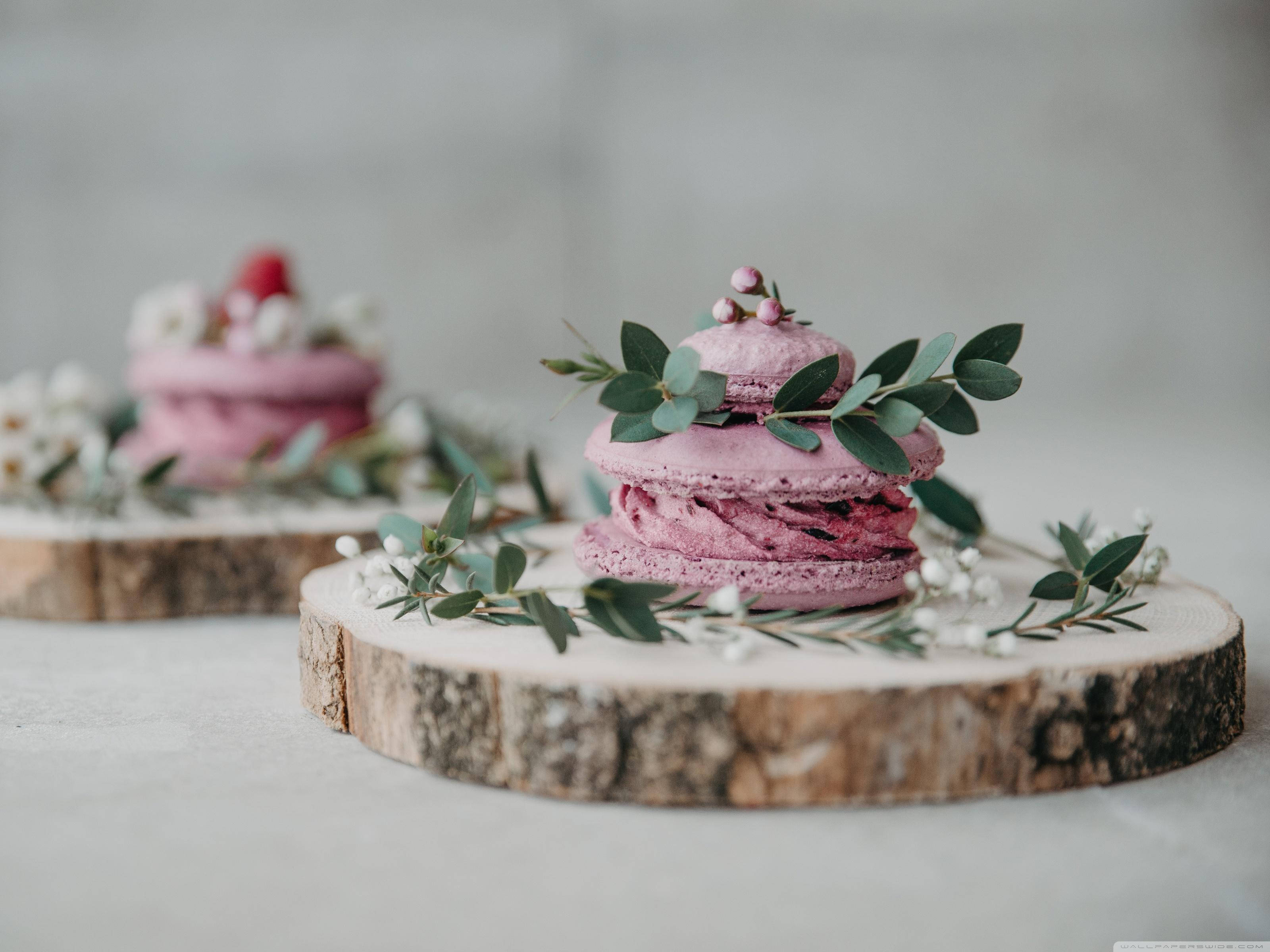 lavender macaron, pink macarons, eucalyptus, 2K Desktop Wallpaper