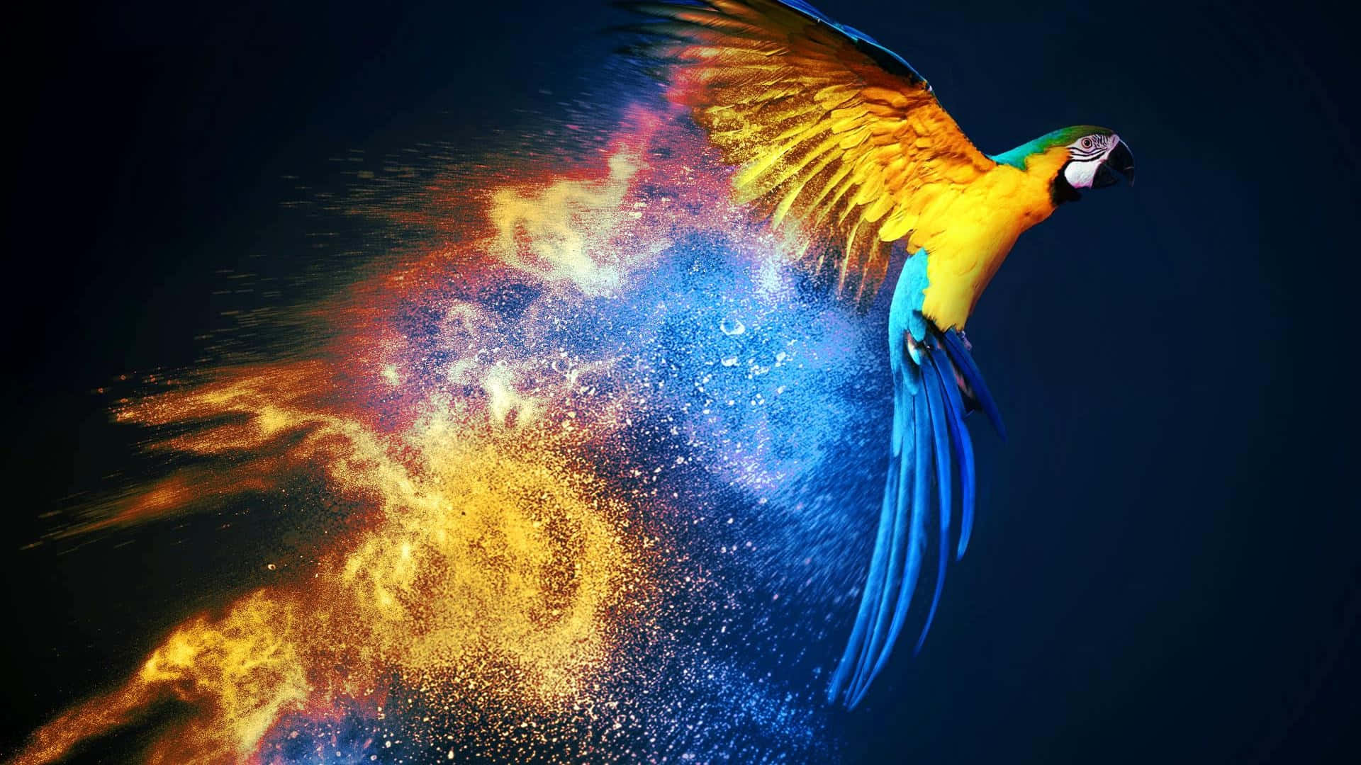 Cosmic Macaw, golden and blue cosmic dust particles, darkness, Full HD Desktop Wallpaper