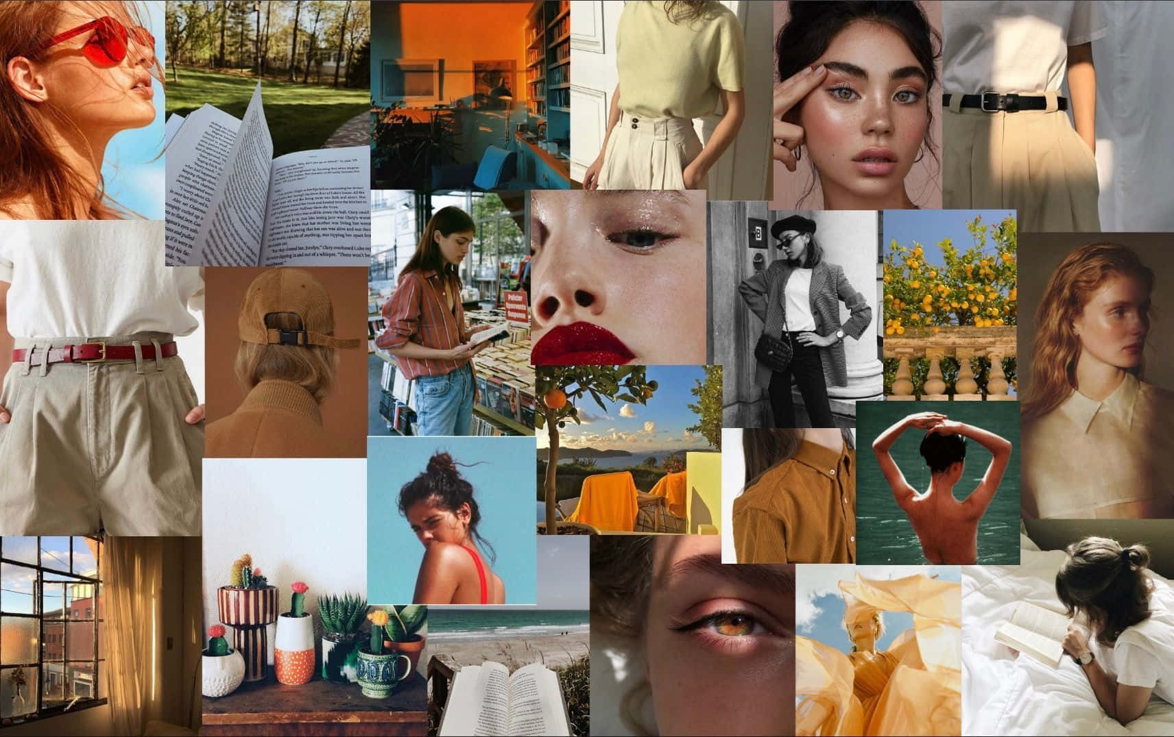 MacBook Collage, sunlit settings, nature, HD Desktop Wallpaper
