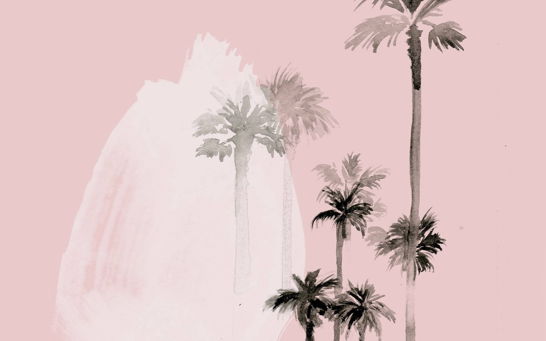 watercolor palm trees, monochrome watercolor style, soft pink background, HD Desktop Wallpaper