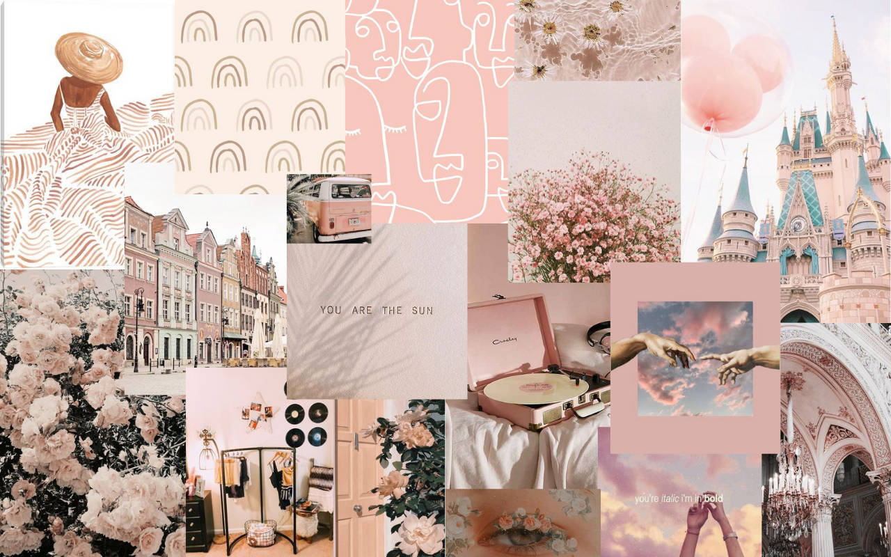 nude pink, collage, flowers, HD Desktop Wallpaper