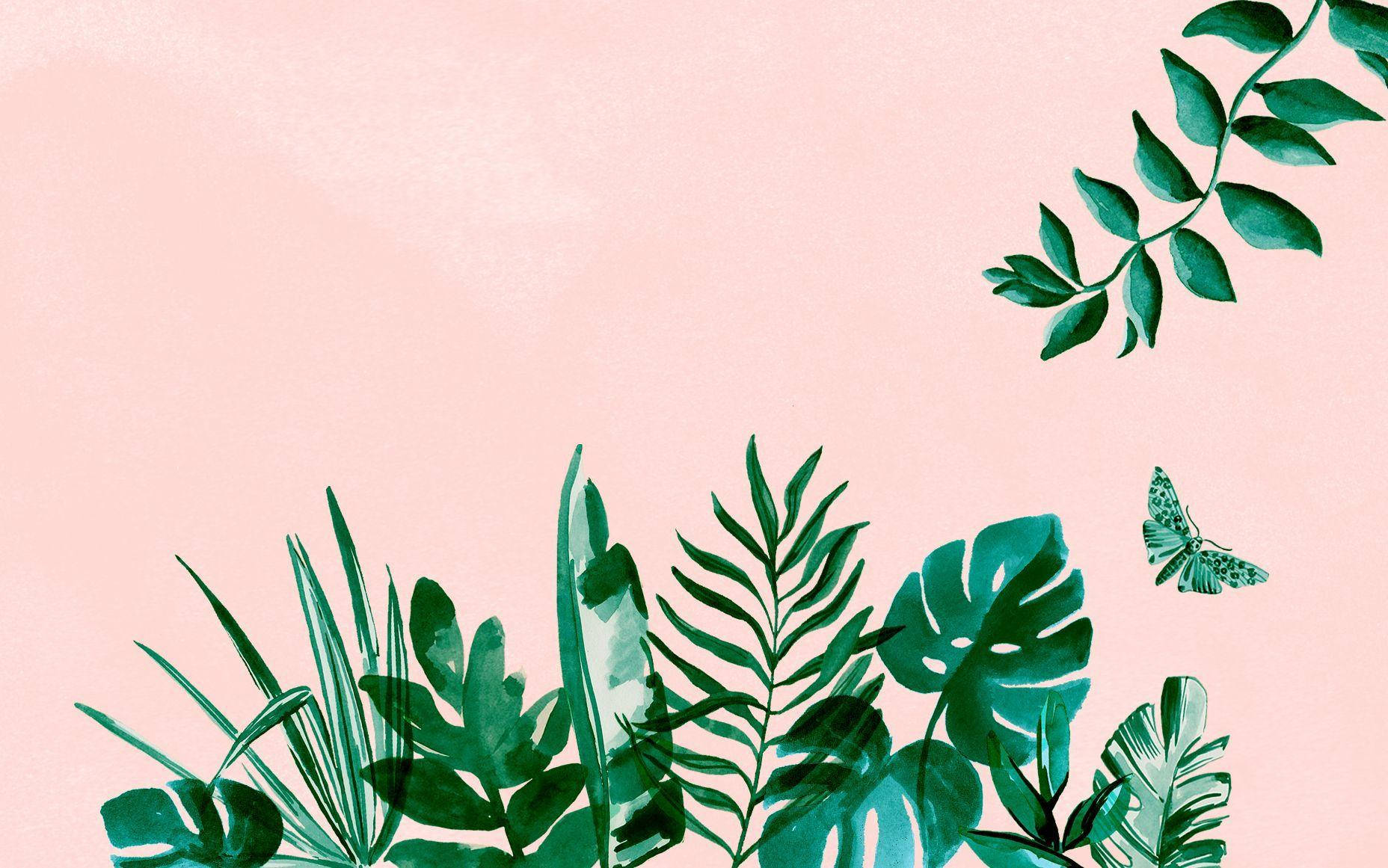 Palm Leaves, MacBook Pro, Aesthetic, HD Desktop Wallpaper