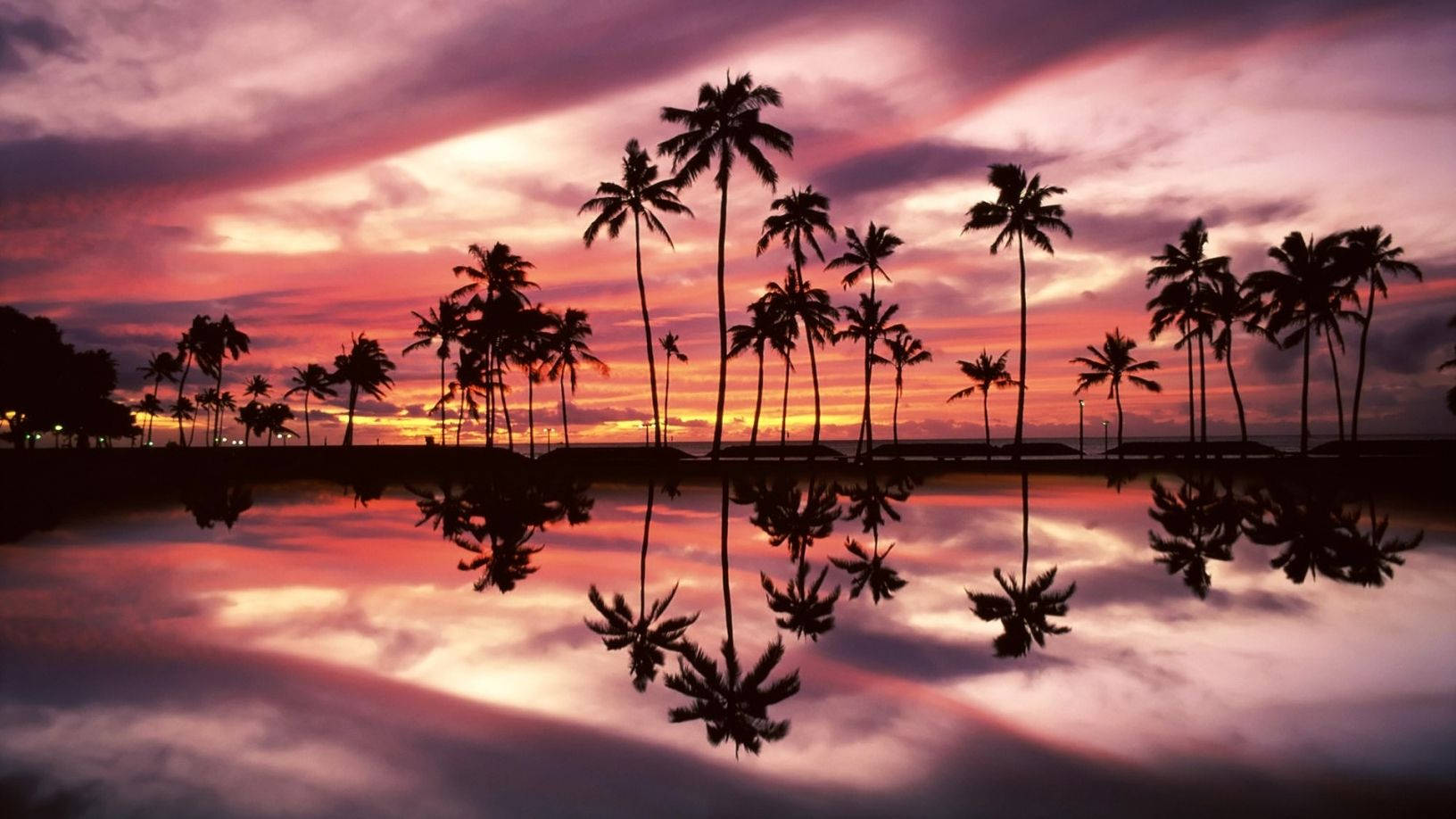 sunset, beach, palm trees, HD Desktop Wallpaper