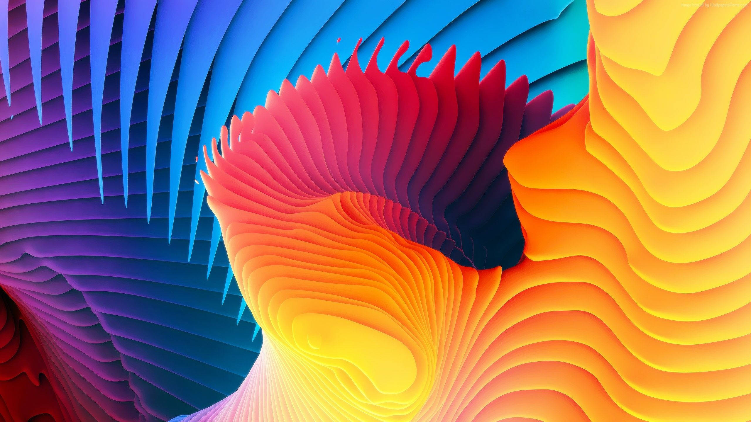 spiral, abstract, layered paper, 2K Desktop Wallpaper