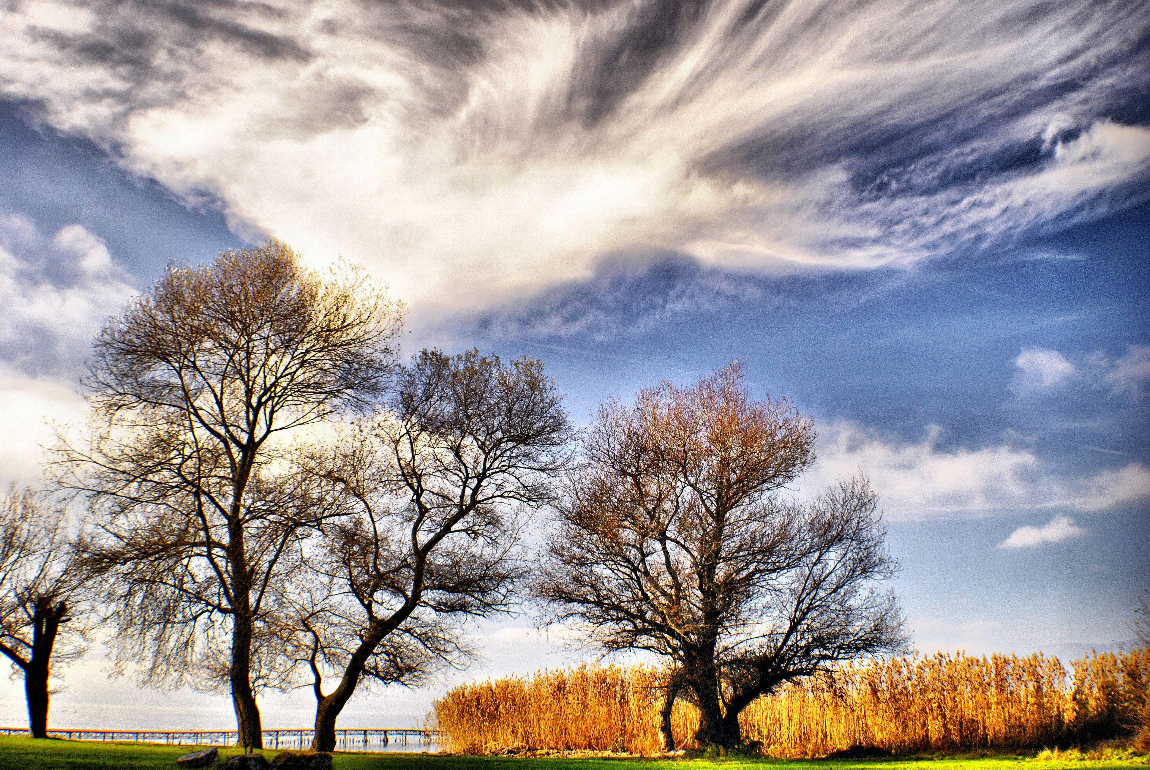 Macedonia, autumn season, bare trees, 4K Desktop Wallpaper