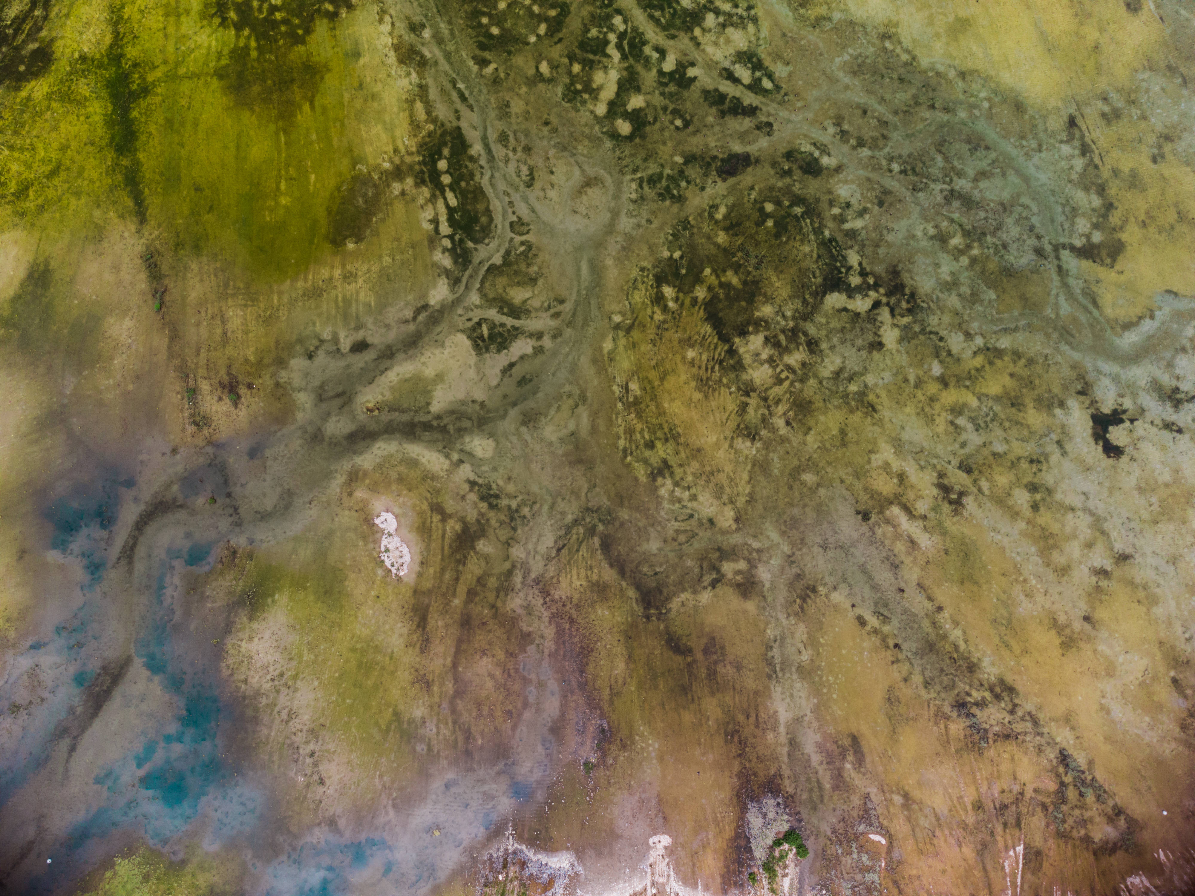 Macedonia, artistic olive painting, aerial view, 4K Desktop Wallpaper