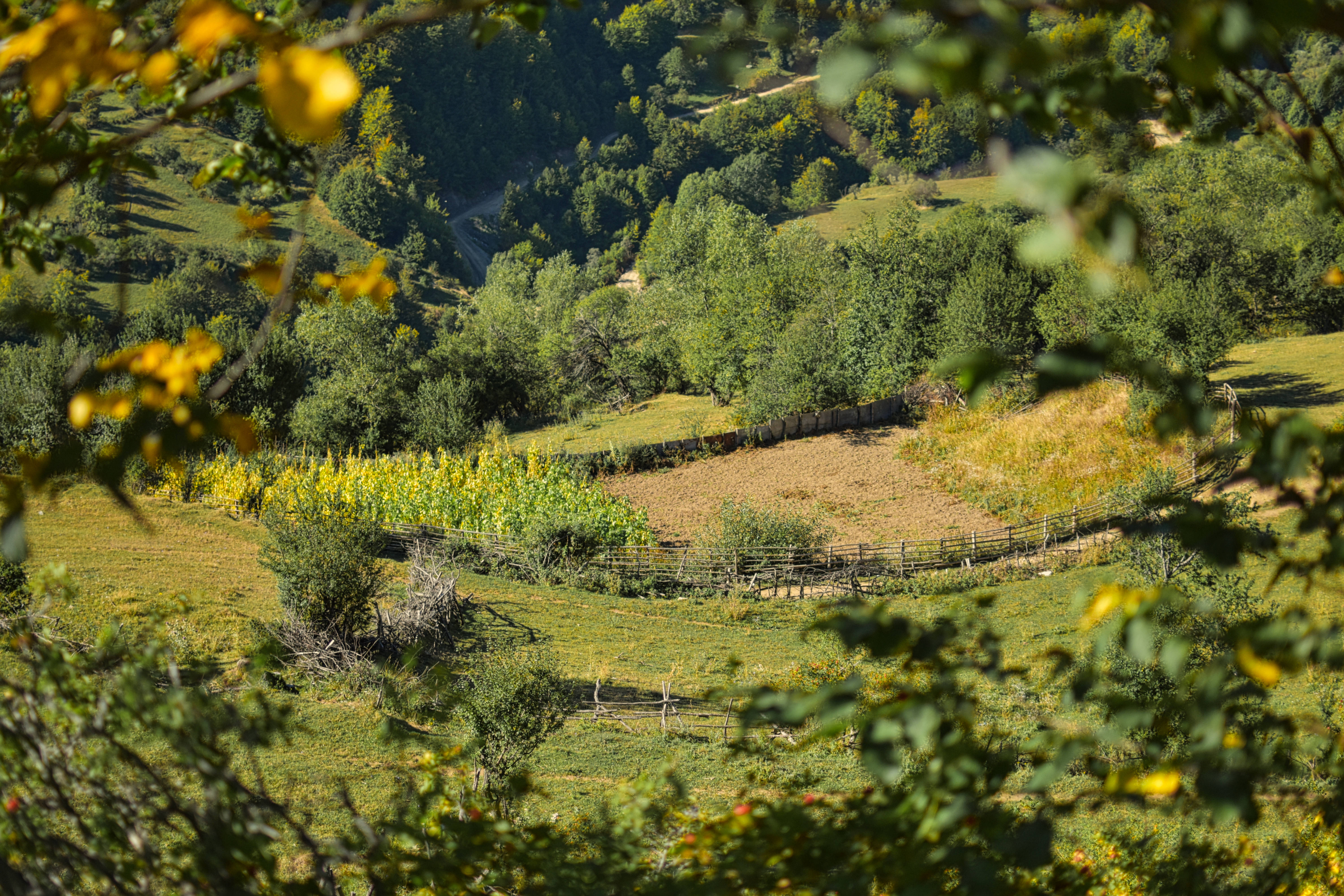 Macedonia, vast grasslands, sunlit valley, 5K Desktop Wallpaper
