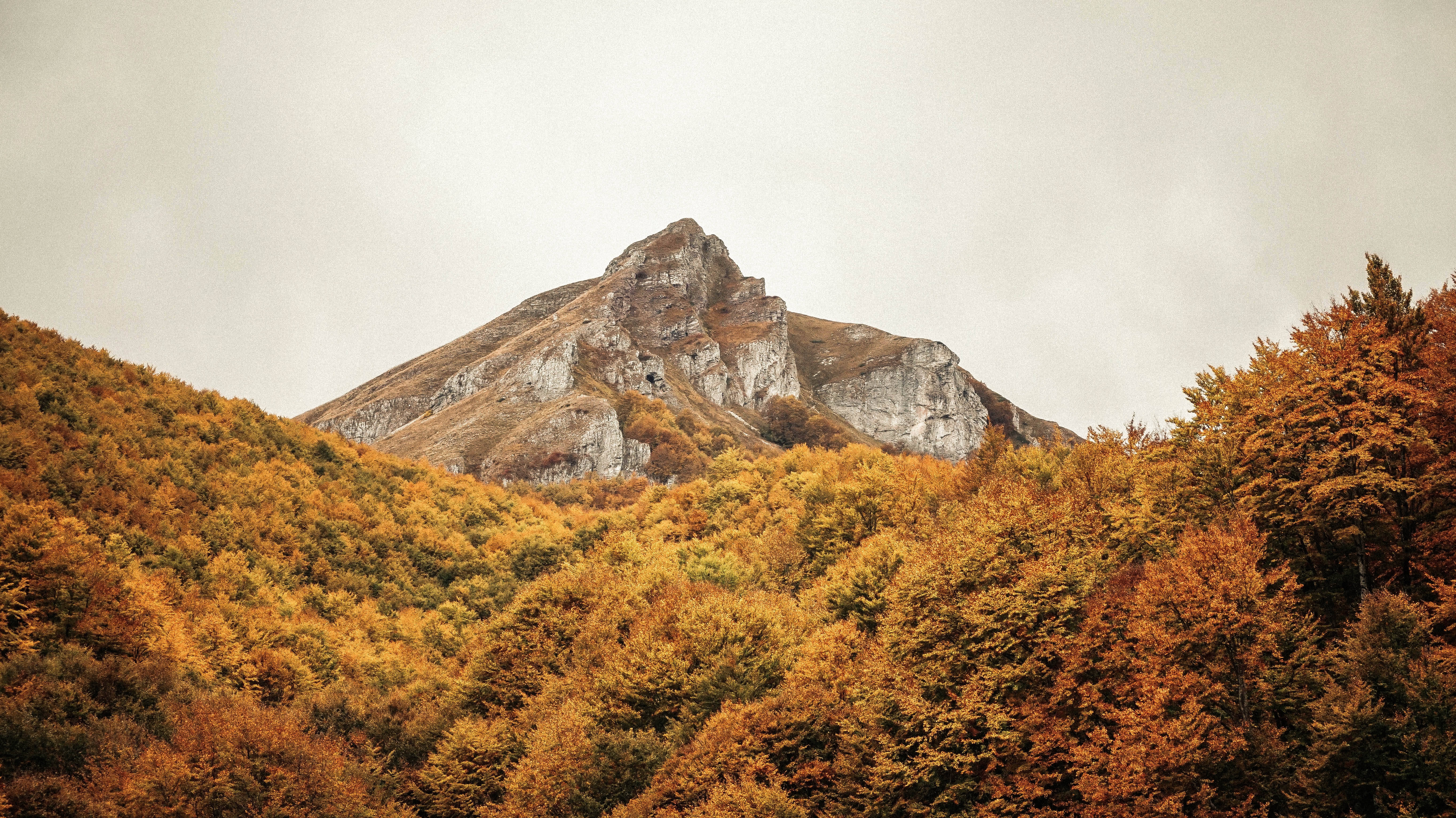 Macedonia, autumn trees, mountain peak, 5K Desktop Wallpaper