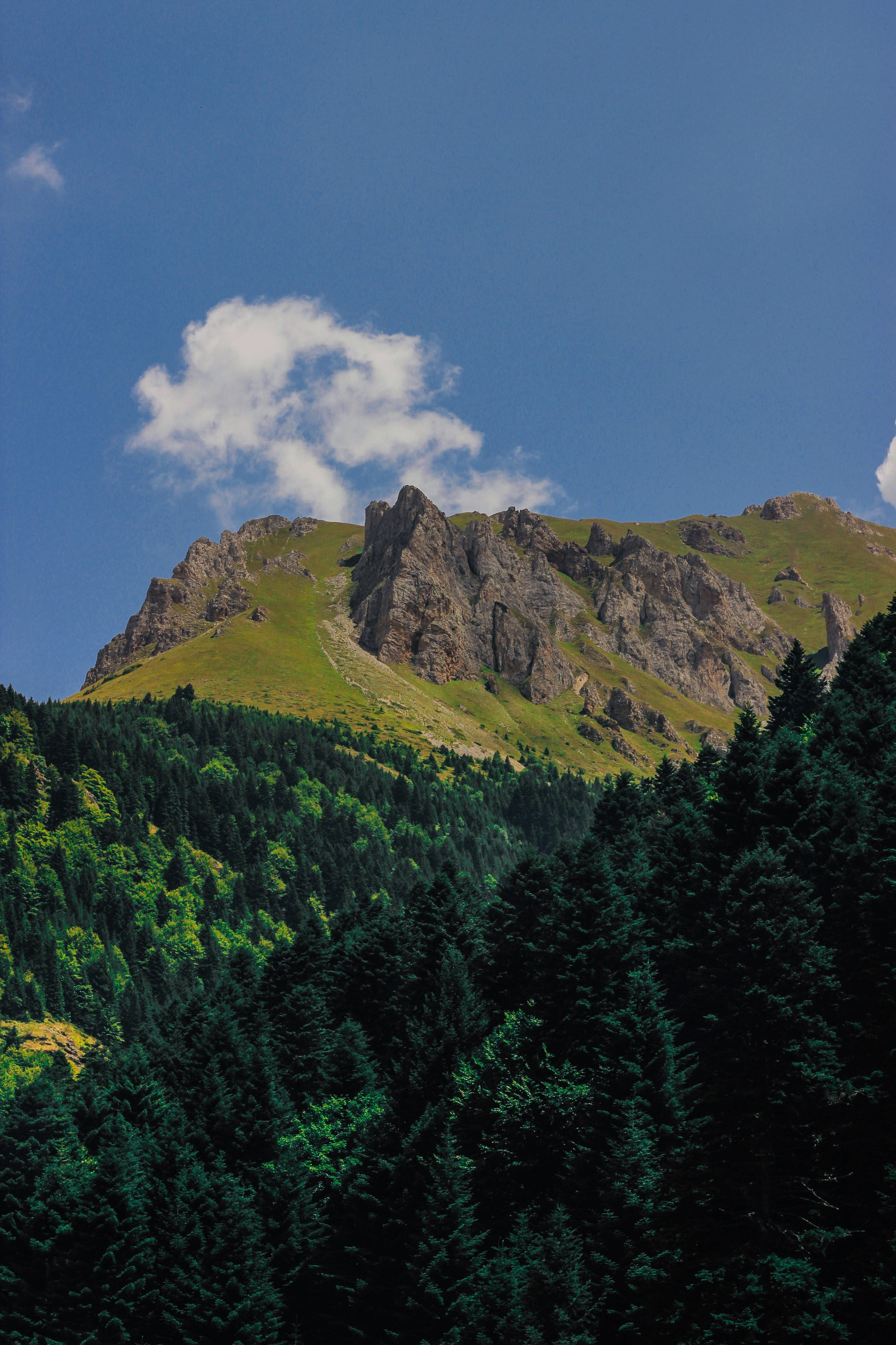 Macedonia Mountain, rugged cliffs, lush green slopes, 5K Phone Wallpaper