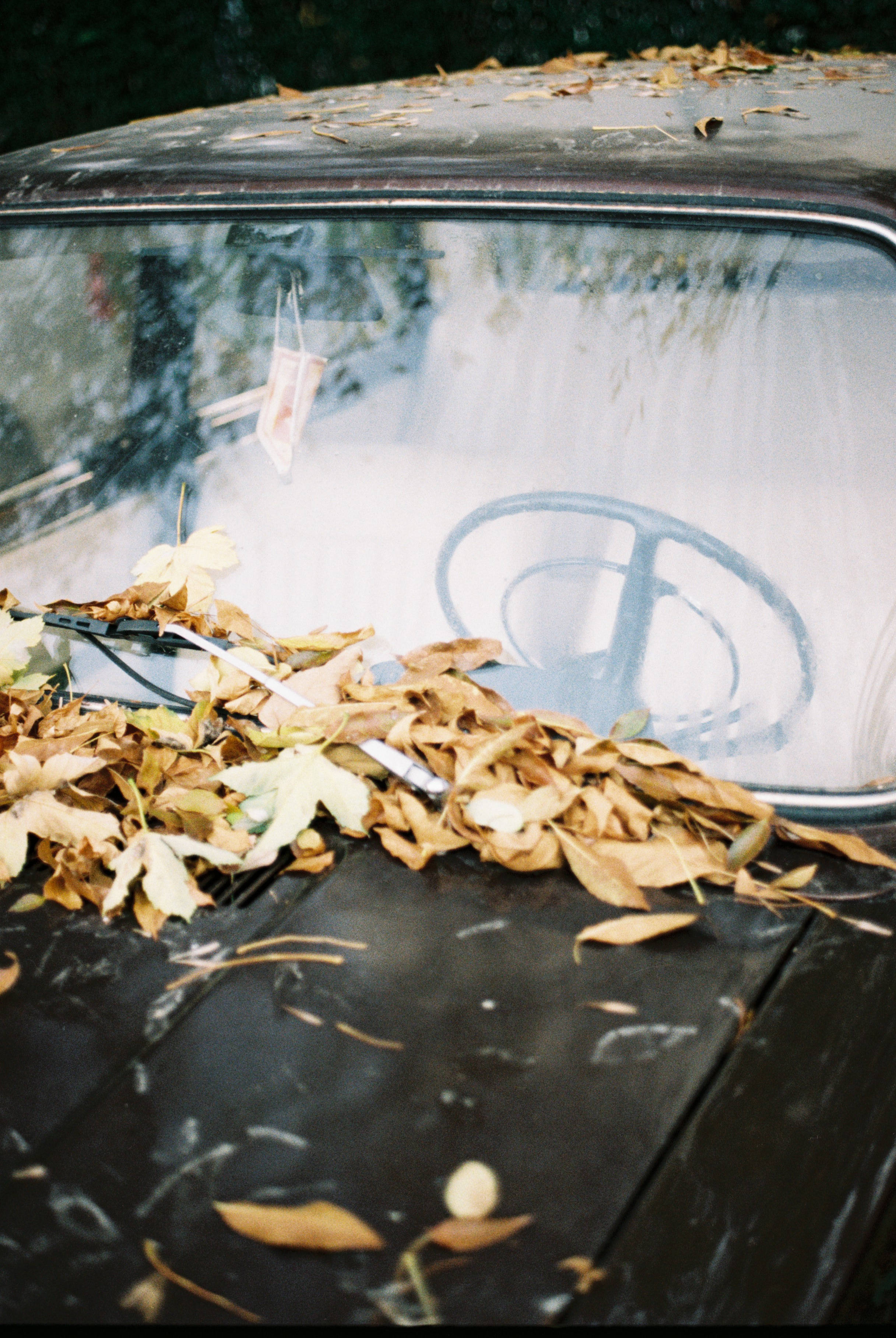 Macedonia, vintage old car, autumn leaves, 2K Phone Wallpaper