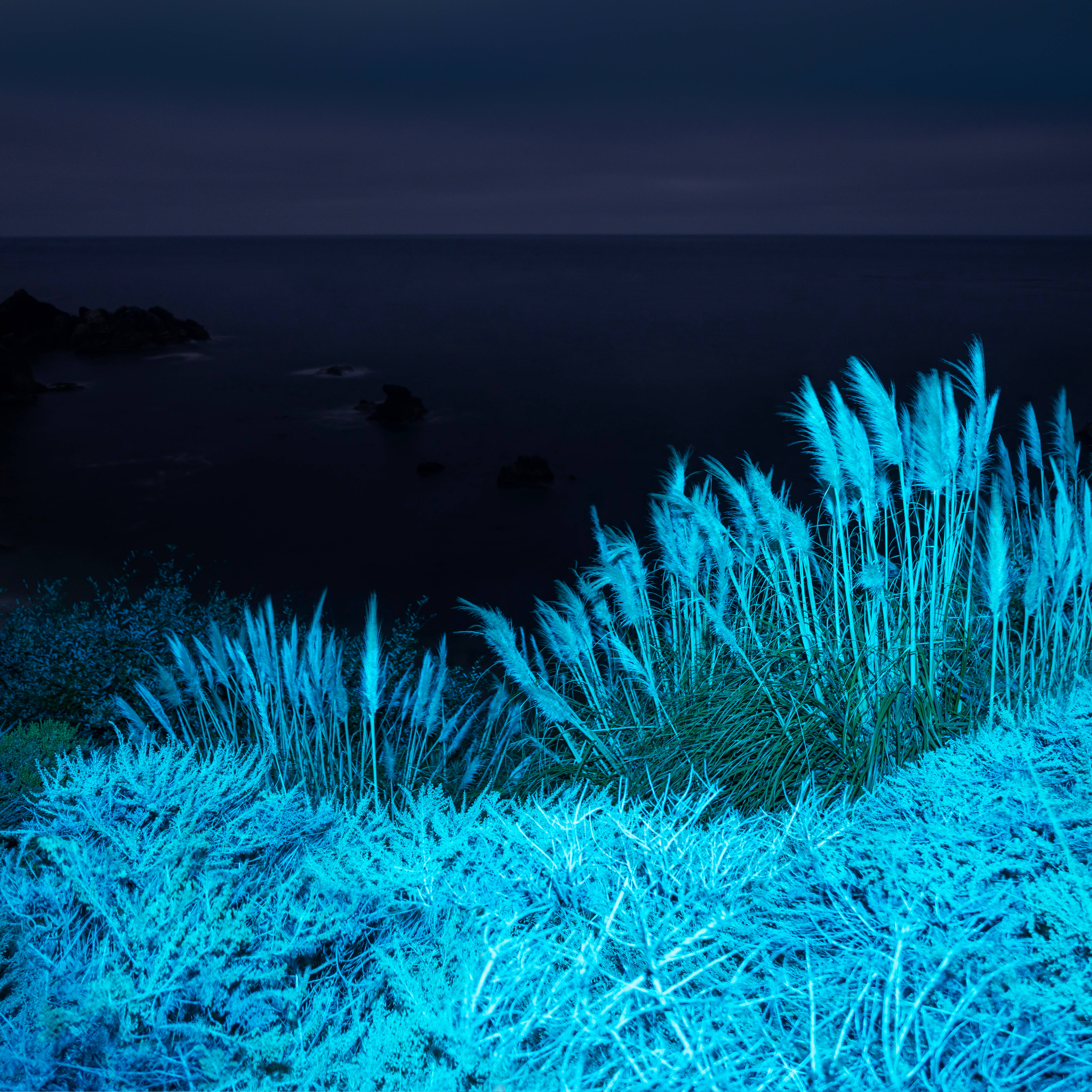 macOS Big Sur, electric blue grasses, dark ocean, 5K Desktop Wallpaper