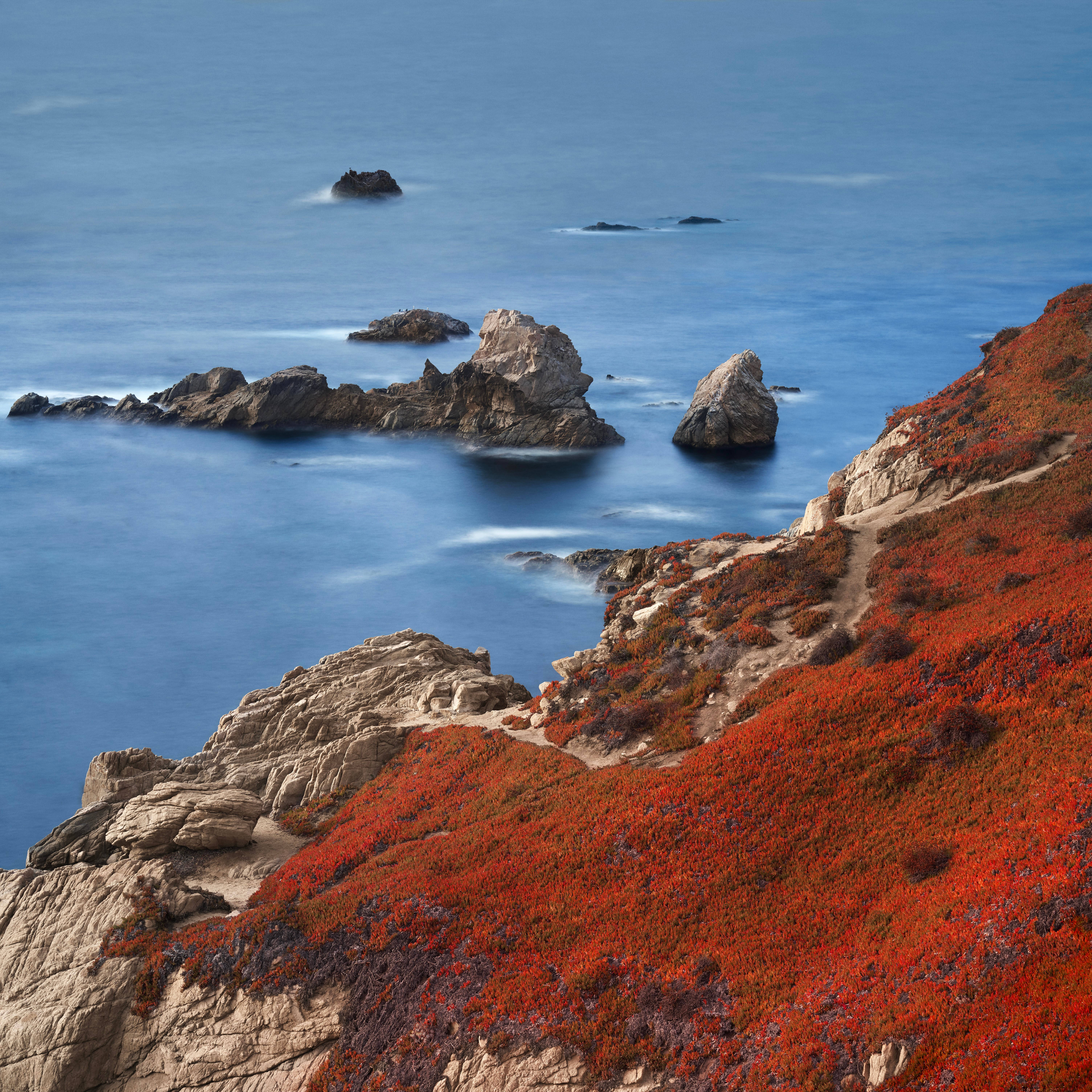 macOS Big Sur, sea, coastal shrubs, 5K Desktop Wallpaper