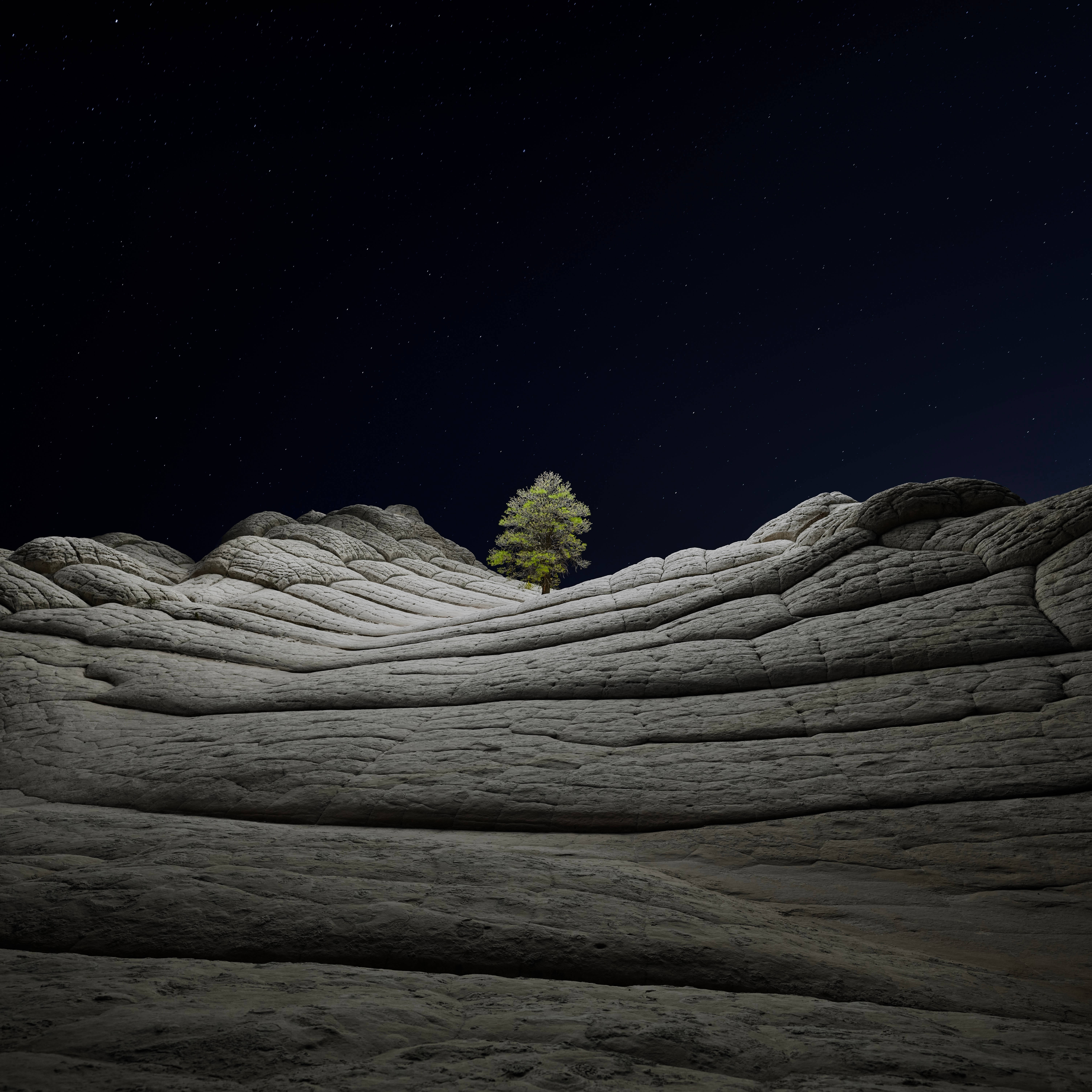 macOS Big Sur, tree, textured rock formations, 5K Desktop Wallpaper