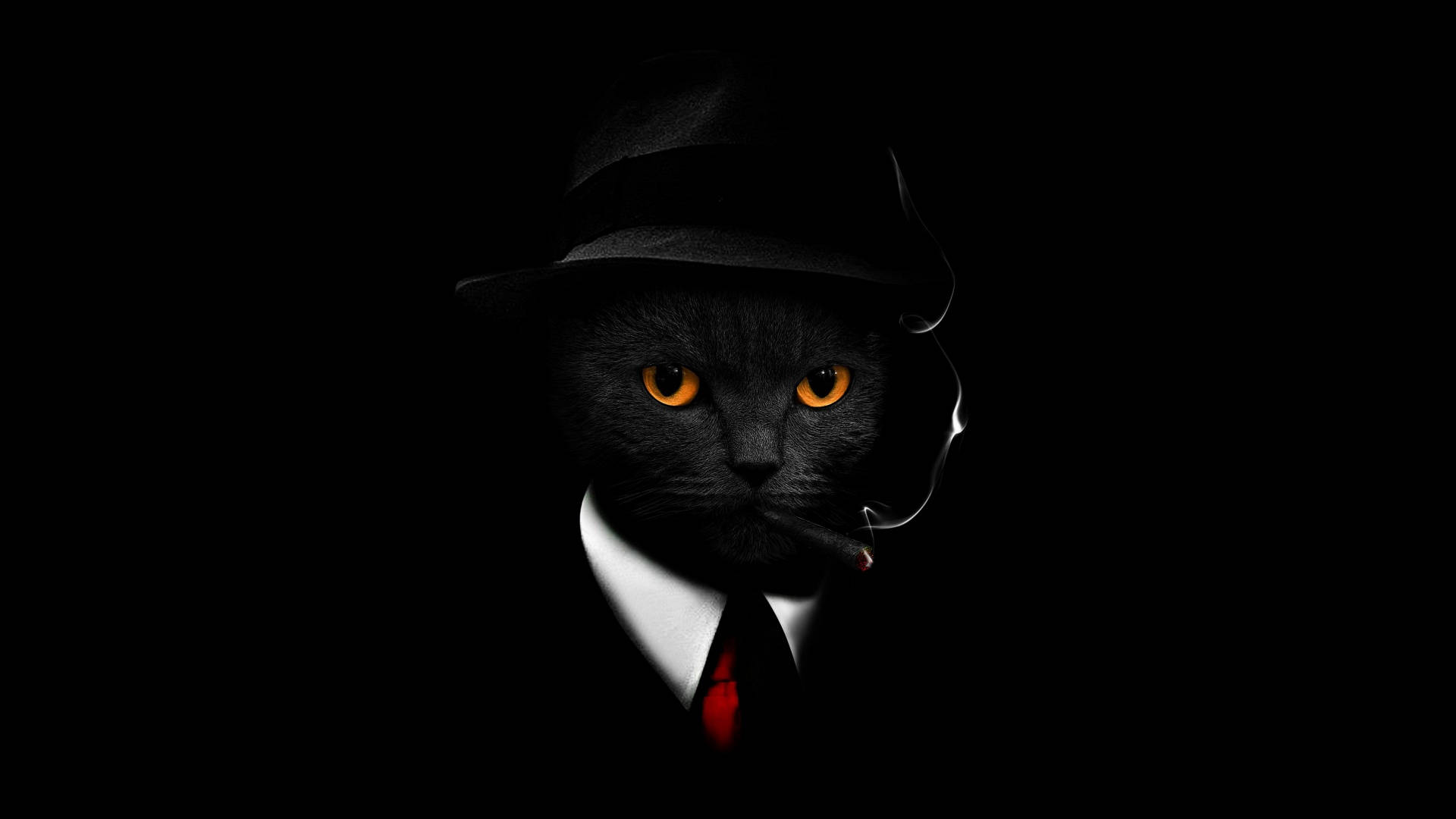 macOS Mojave, cat in a suit, fedora, Full HD Desktop Wallpaper