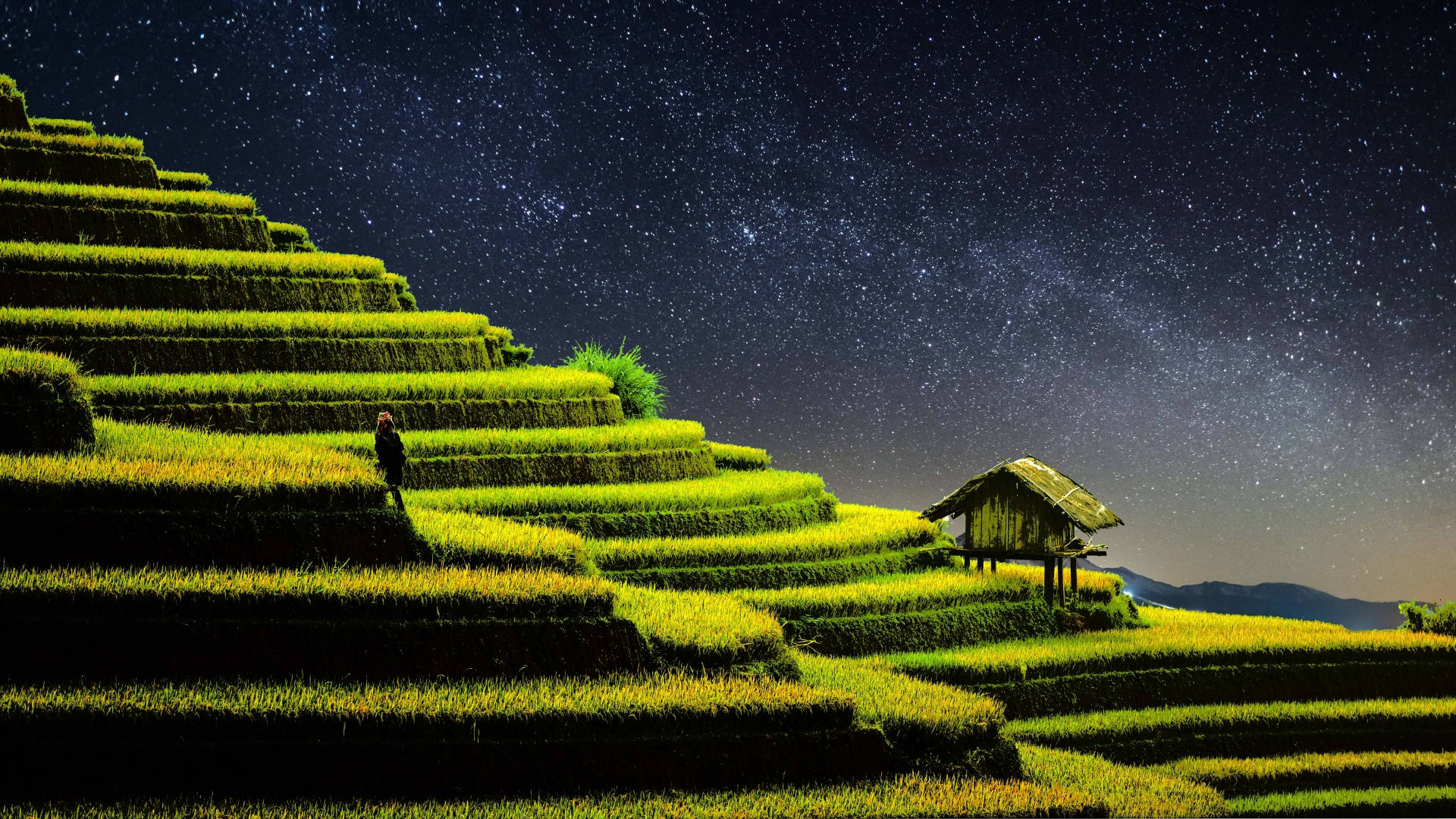 macOS Mojave, grass terraces, glowing green rice terraces, Full HD Desktop Wallpaper
