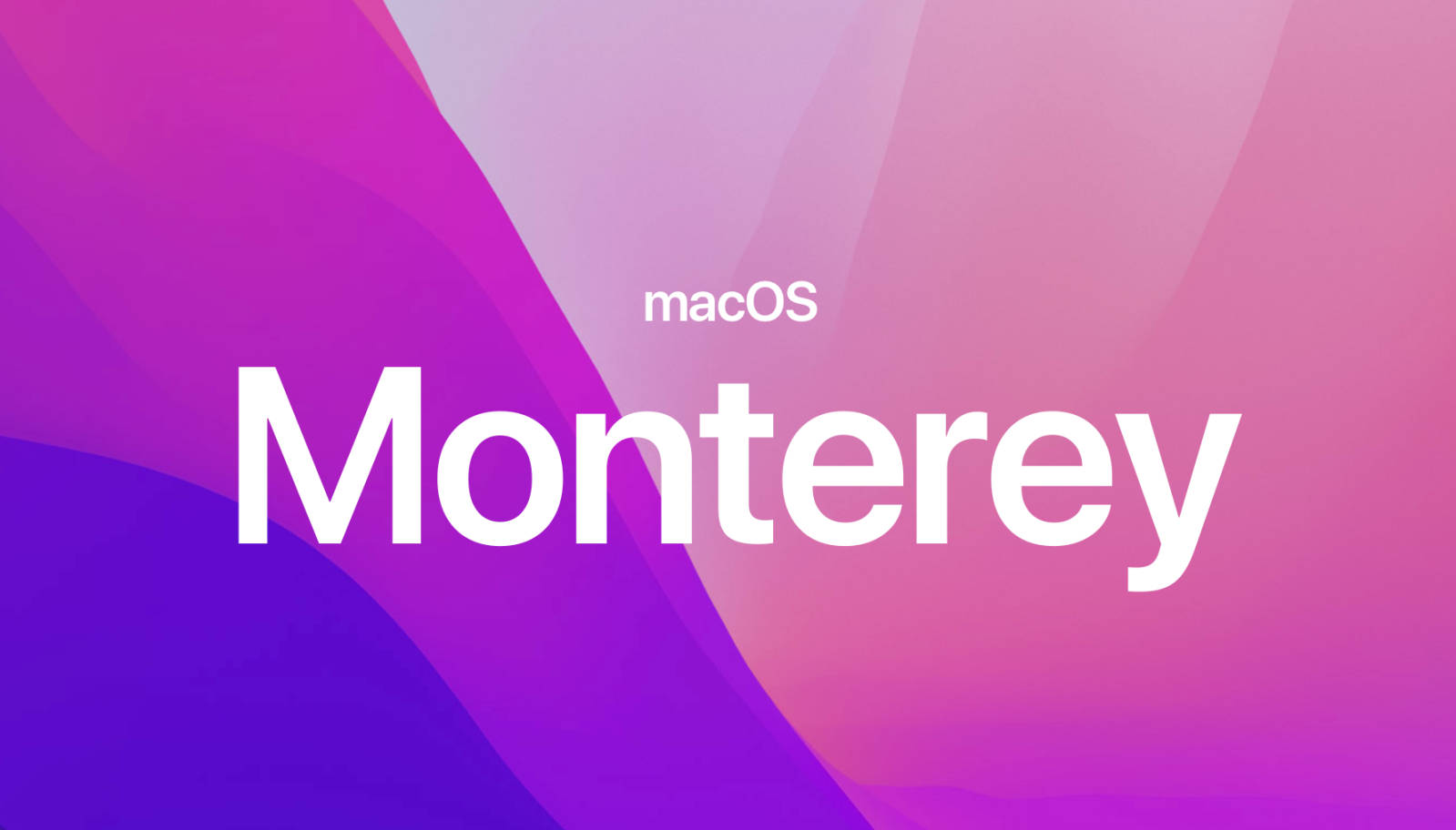 macOS Monterey, vibrant purple, pink abstract waves, HD Desktop Wallpaper