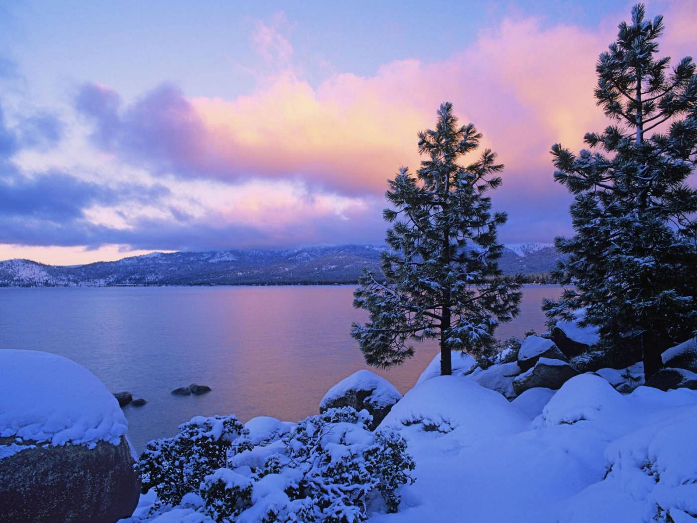 Lake Tahoe, snow, pine trees, HD Desktop Wallpaper