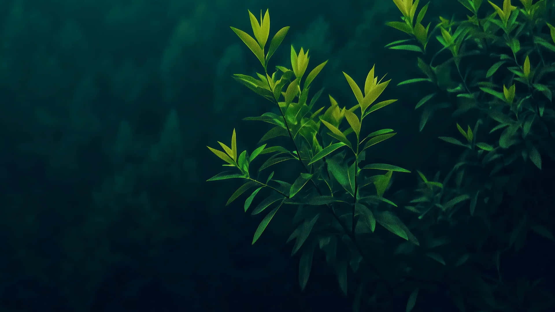 macOS Tahoe, lime green, teal, Full HD Desktop Wallpaper