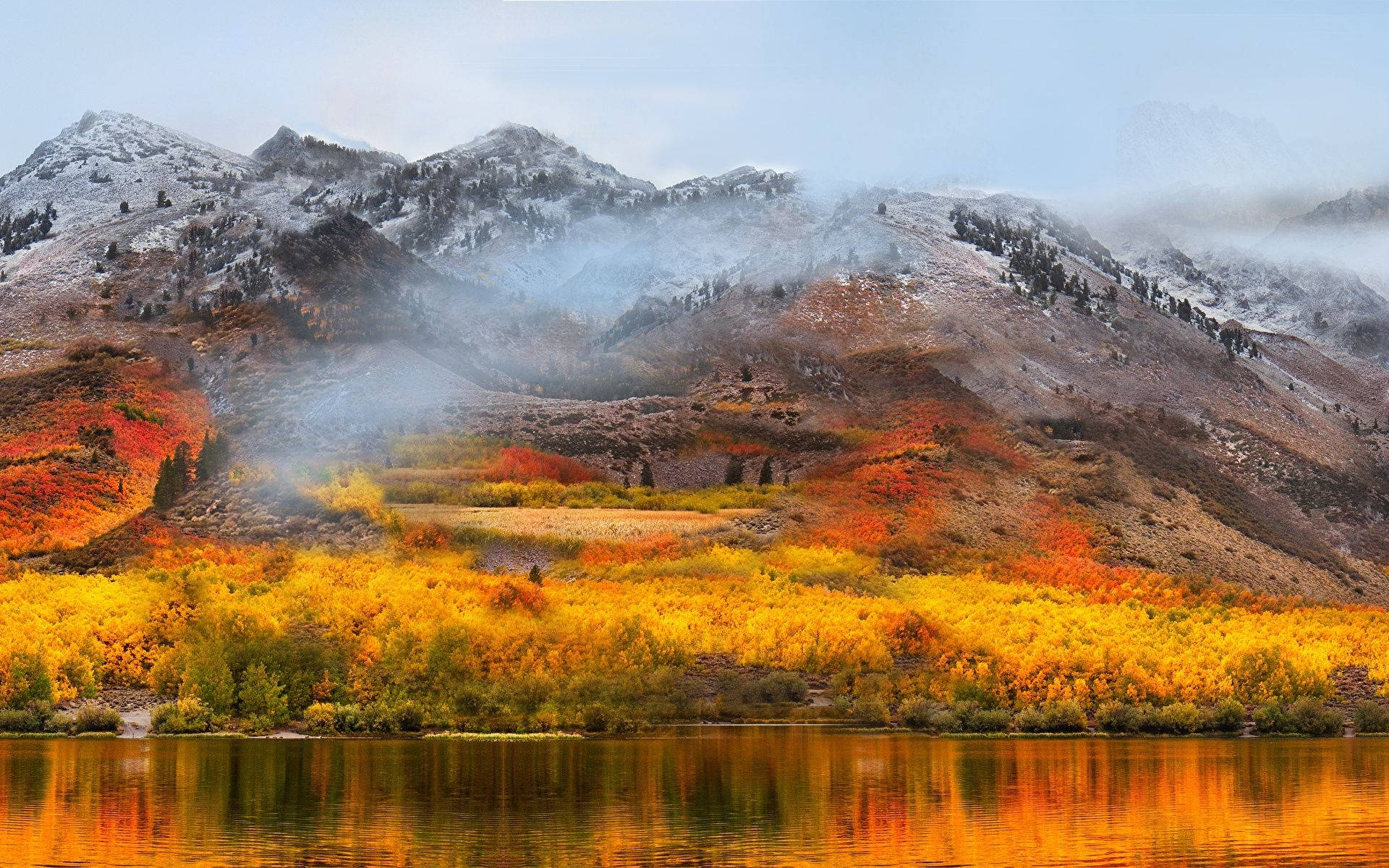 Yellow Orange Field, macOS, autumn forest, Full HD Desktop Wallpaper