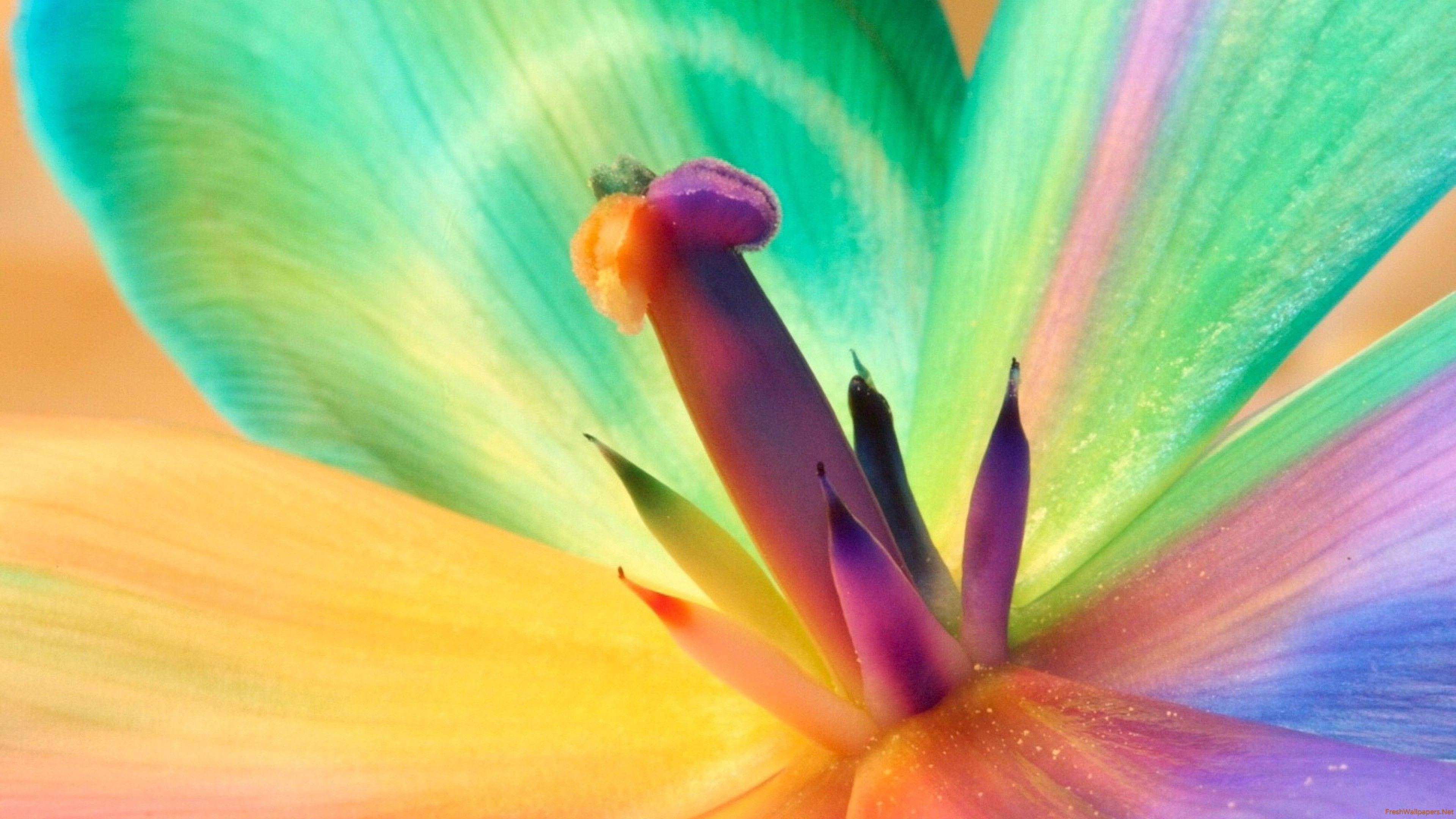 macro flower, neon petals, iridescent green, 4K Desktop Wallpaper