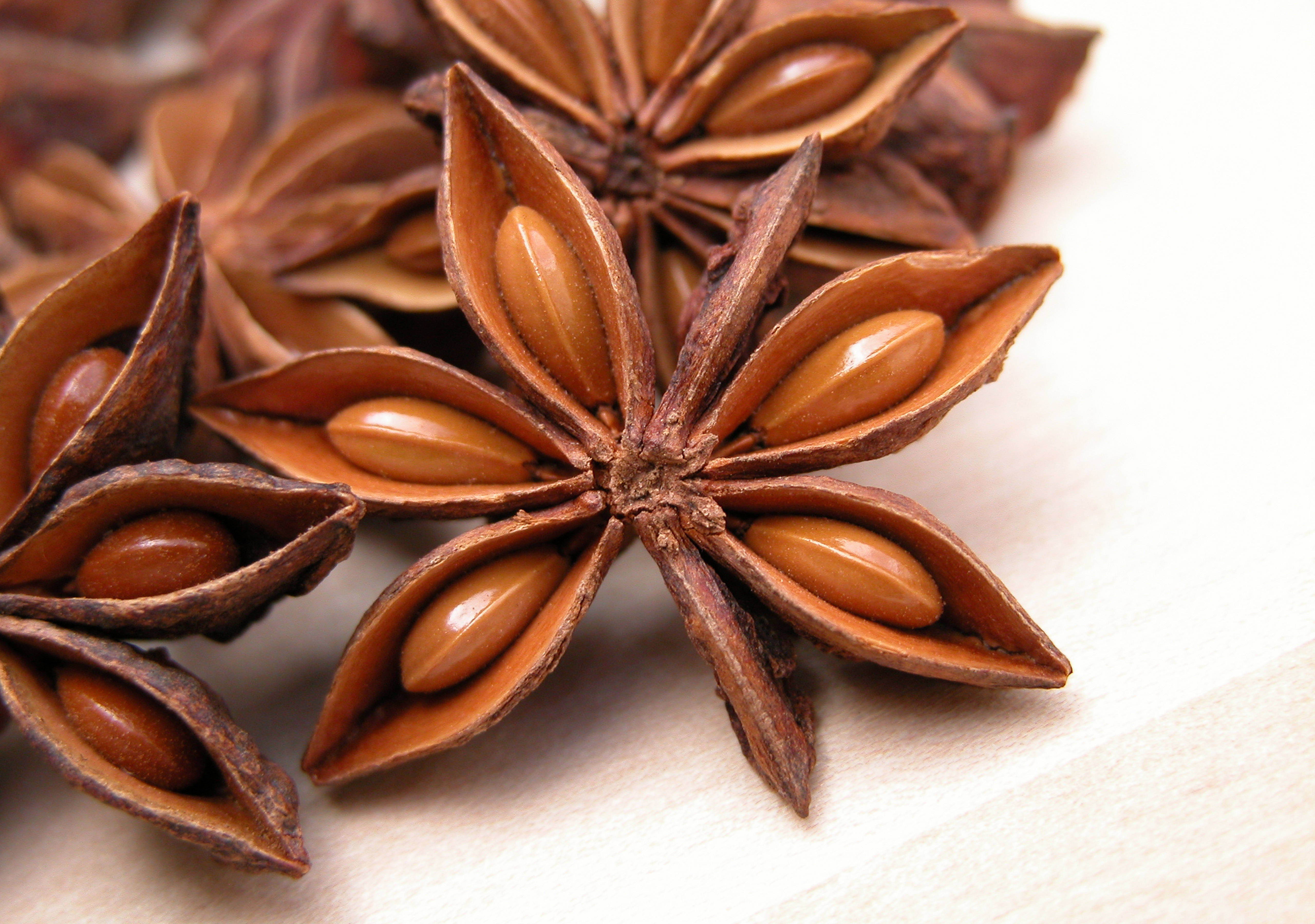 star anise pods, glossy brown seeds, soft white surface, 5K Desktop Wallpaper