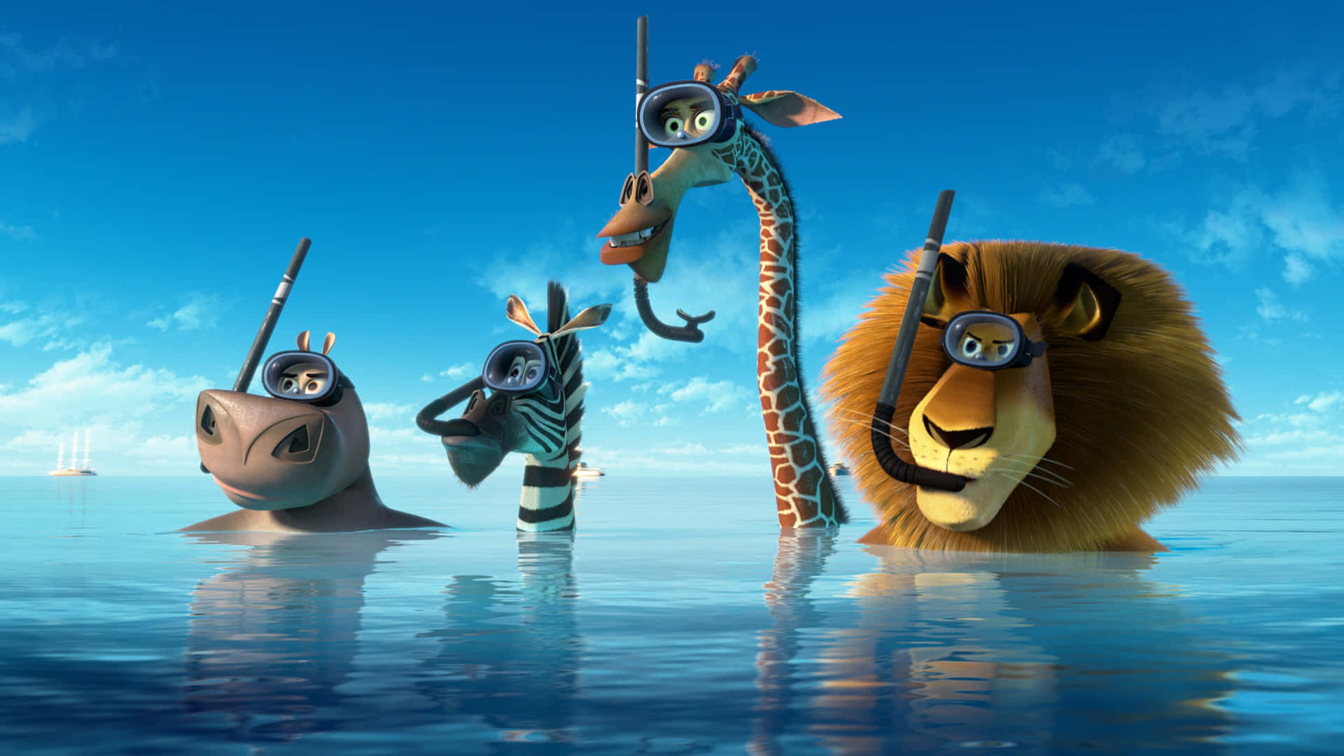 Madagascar 3 Europes Most Wanted, hippo, zebra, Full HD Desktop Wallpaper