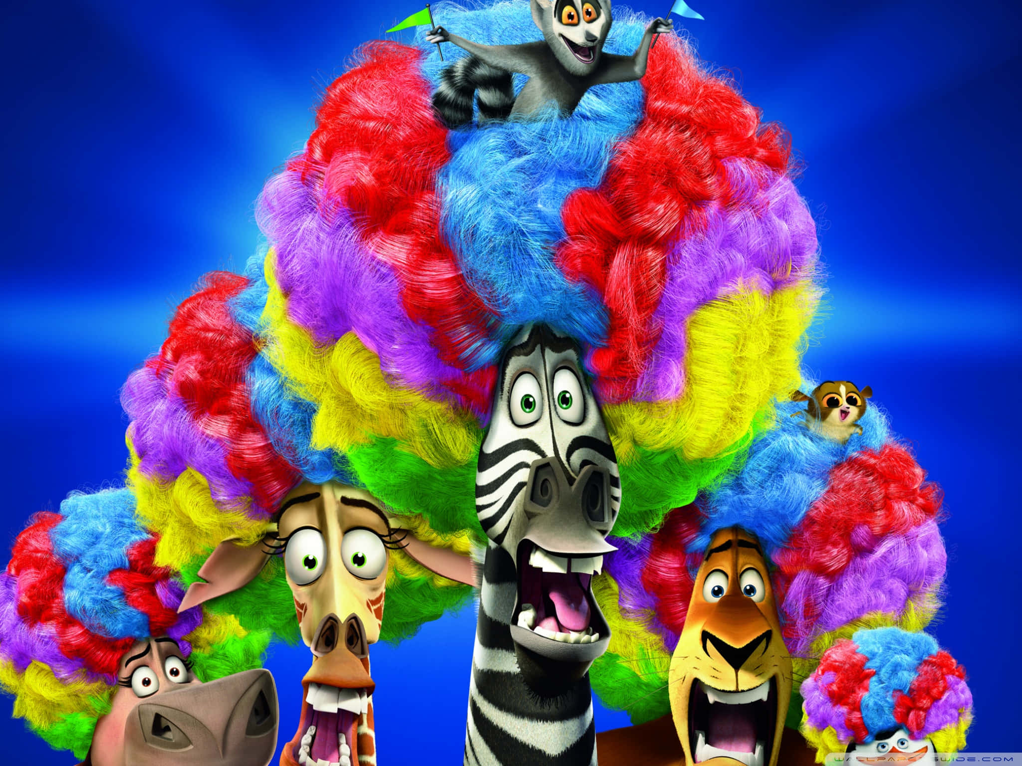Madagascar 3 Europes Most Wanted, rainbow wigs, deep blue gradient background, Full HD Desktop Wallpaper