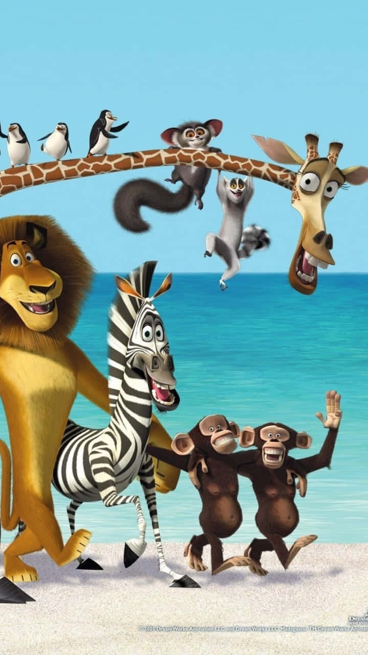 Madagascar 3 Europes Most Wanted, penguins, giraffe, HD Phone Wallpaper