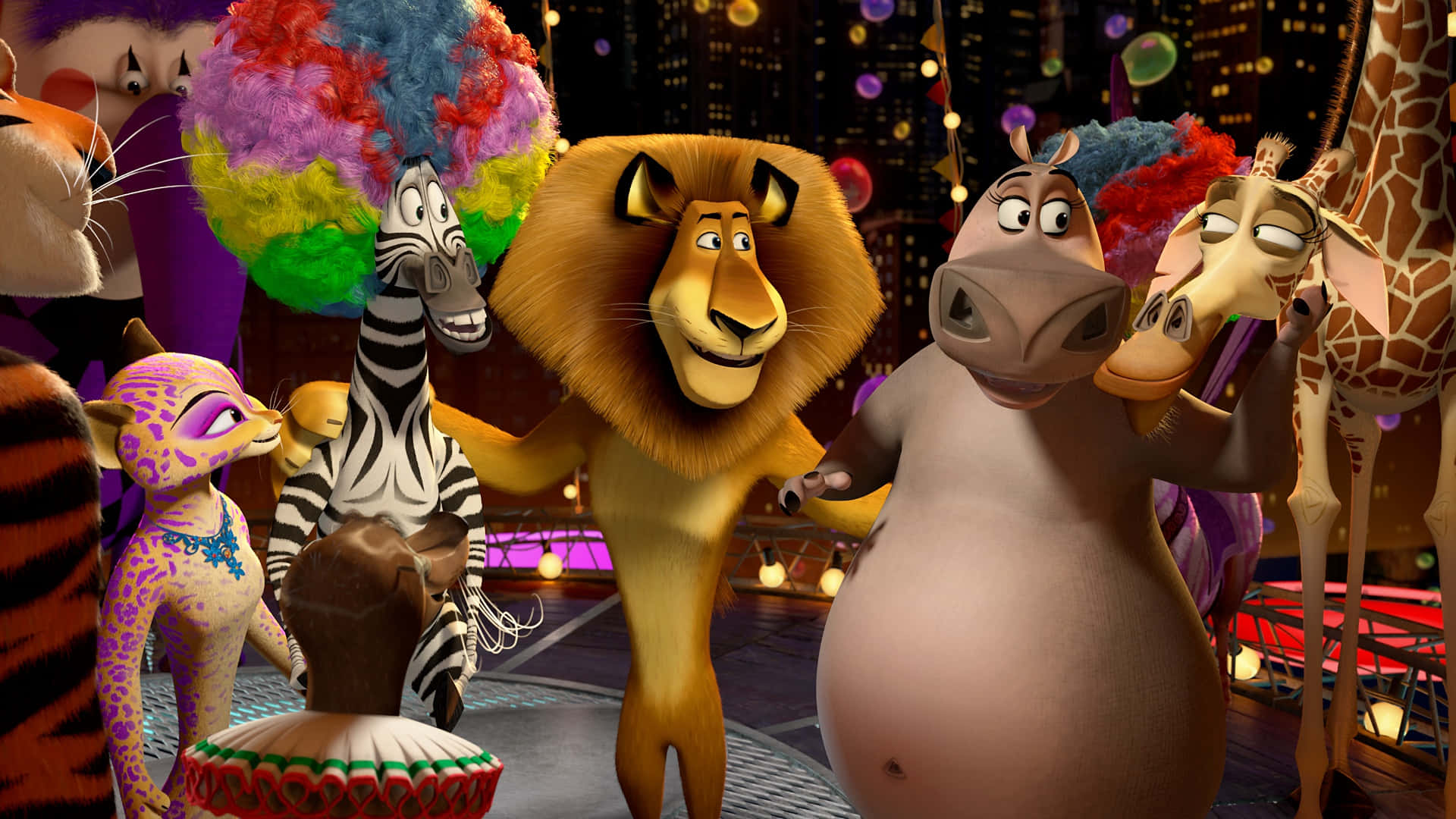 Madagascar 3 Europes Most Wanted, lion, zebra, Full HD Desktop Wallpaper