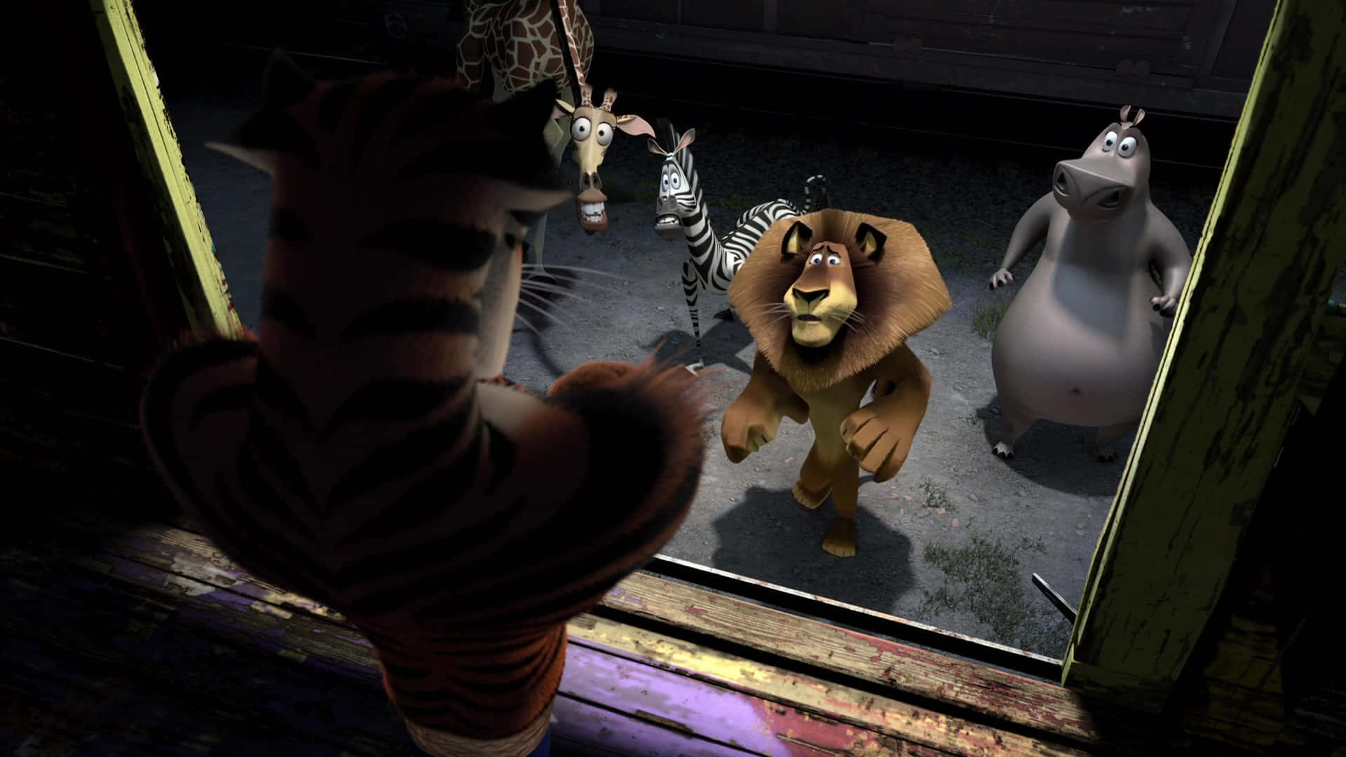Madagascar 3 Europes Most Wanted, tiger, lion, Full HD Desktop Wallpaper