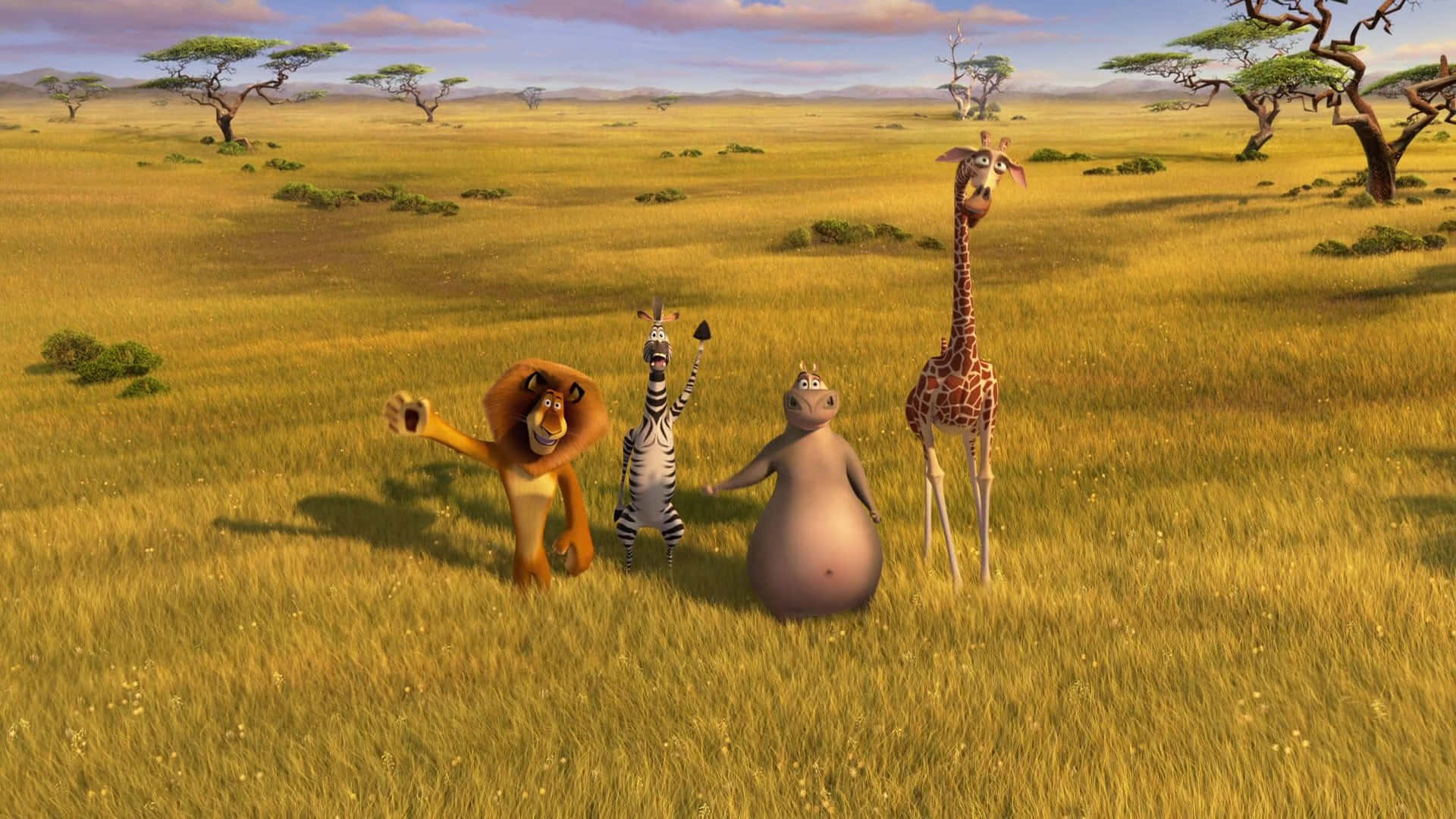 Madagascar 3 Europes Most Wanted, lion, zebra, Full HD Desktop Wallpaper