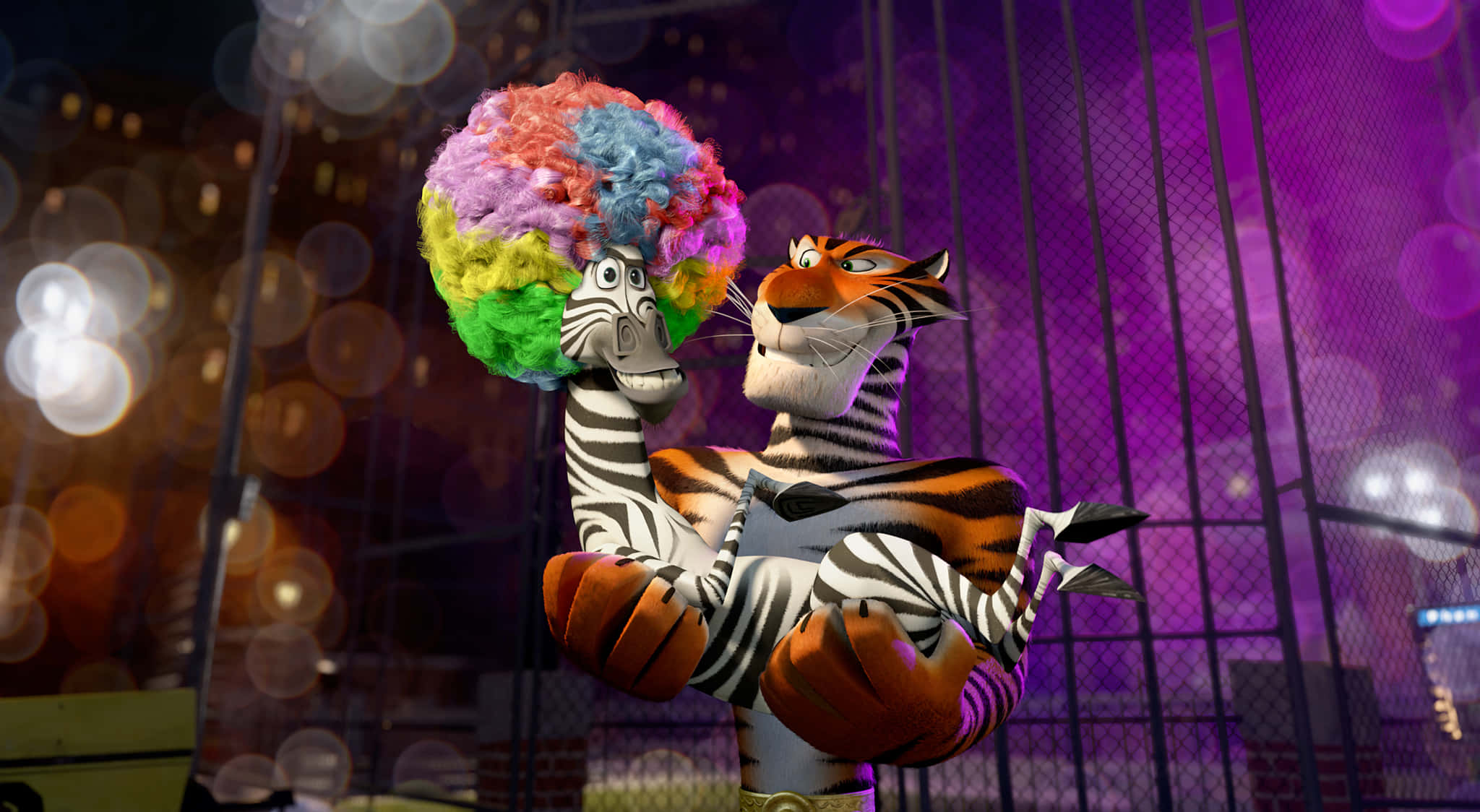 Madagascar 3 Europes Most Wanted, zebra, tiger, Full HD Desktop Wallpaper